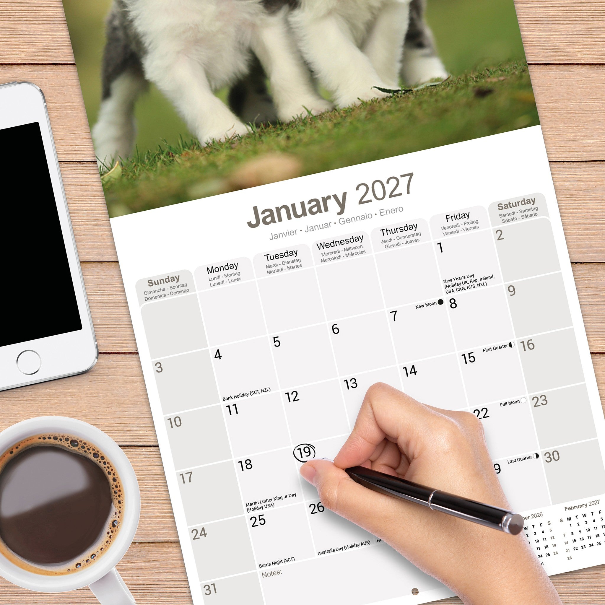 Bearded Collie 2027 Wall Calendar