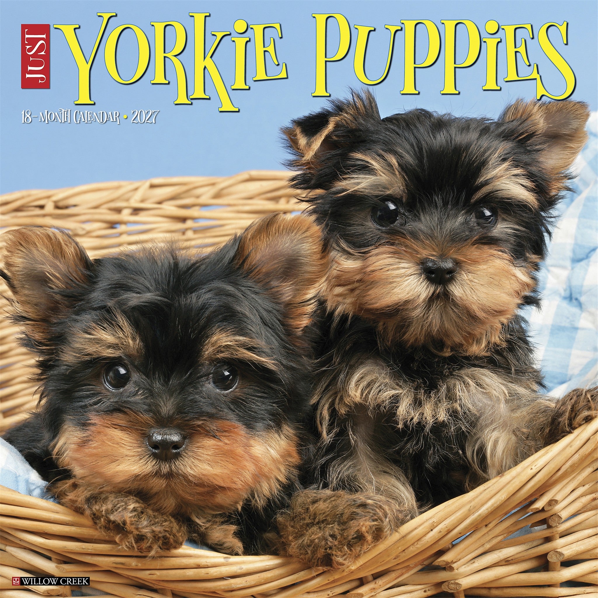 Yorkie Puppies 2027 Wall Calendar