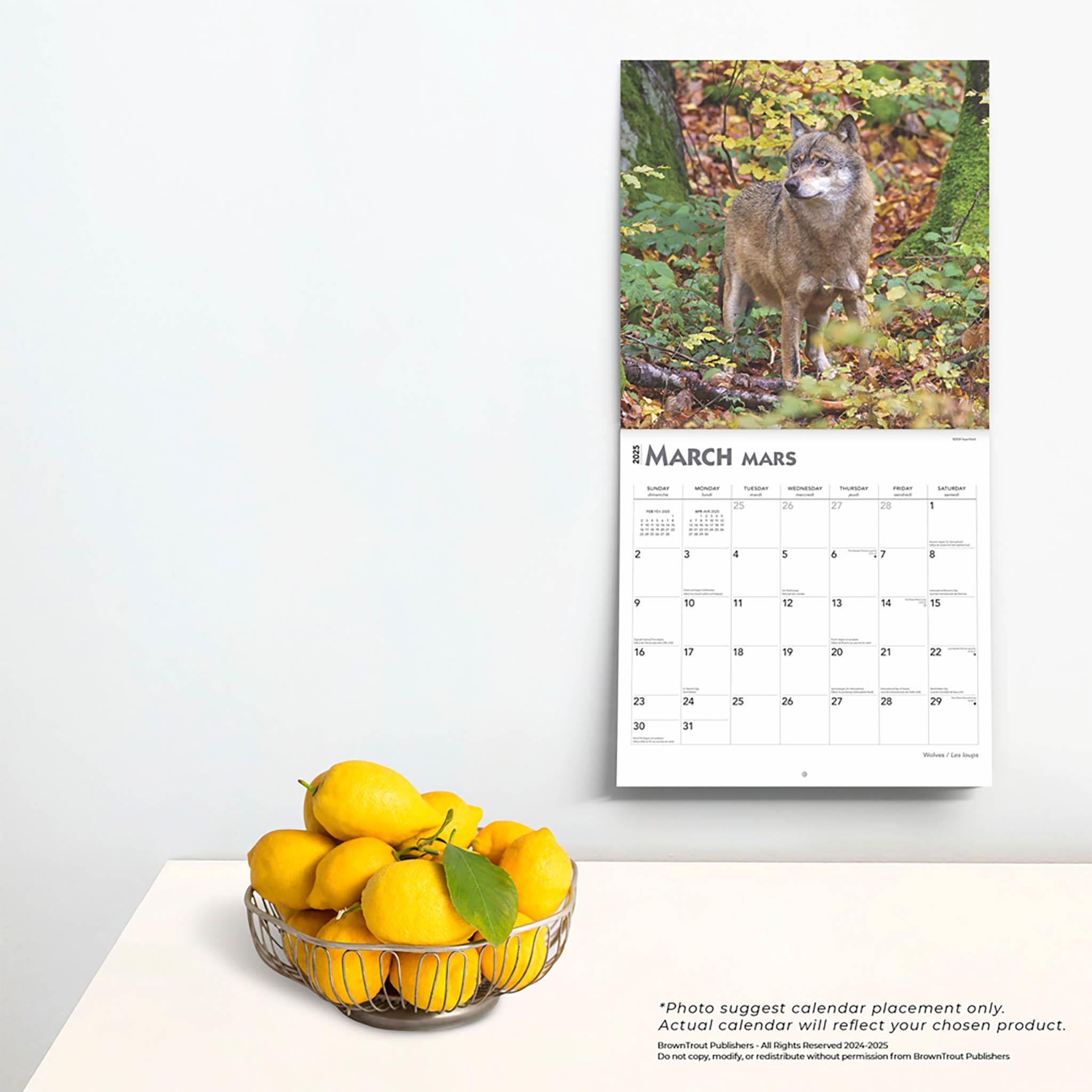 Wolves Les Loups Wall 2025 Calendar (French)