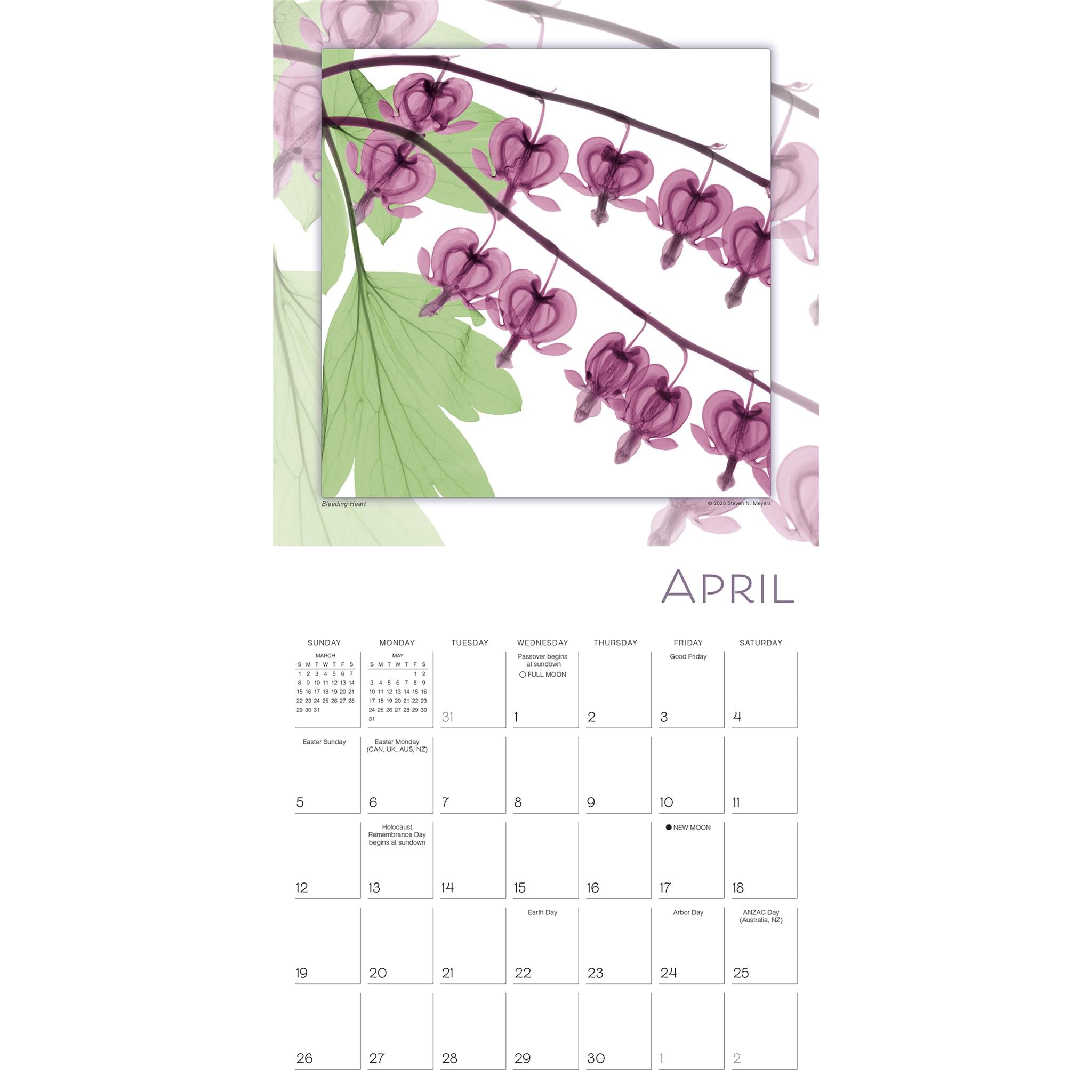 Flower Spirits 2026 Wall Calendar