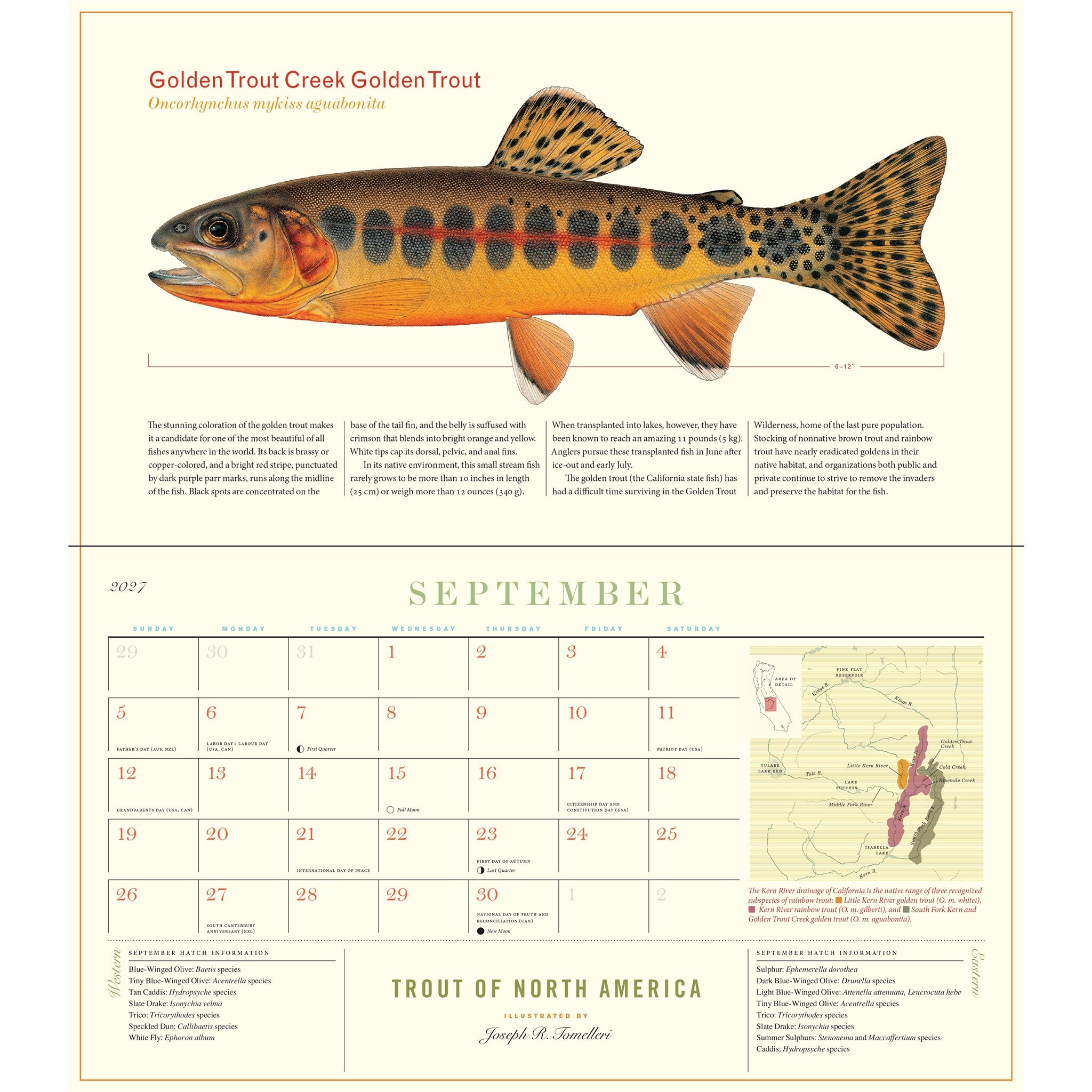 Trout of North America 2027 Wall Calendar