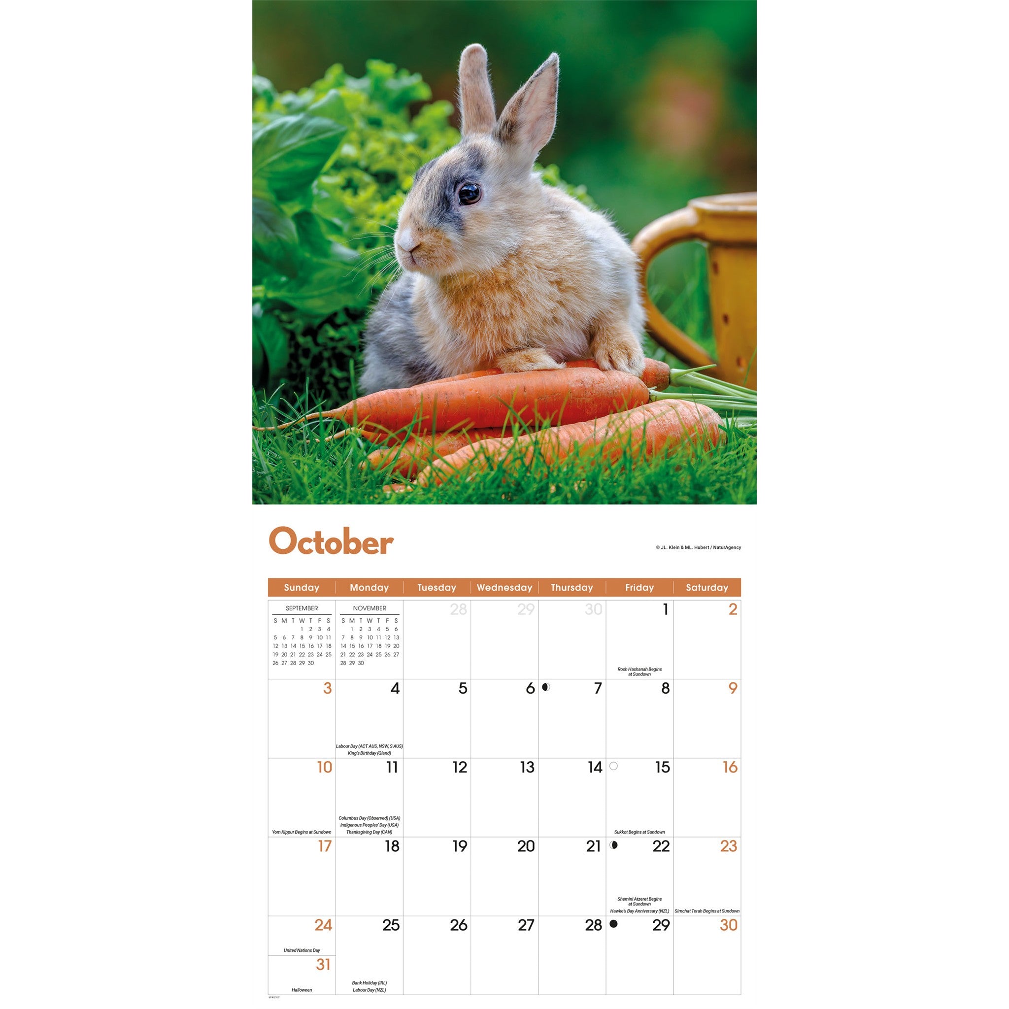Rabbits 2027 Wall Calendar