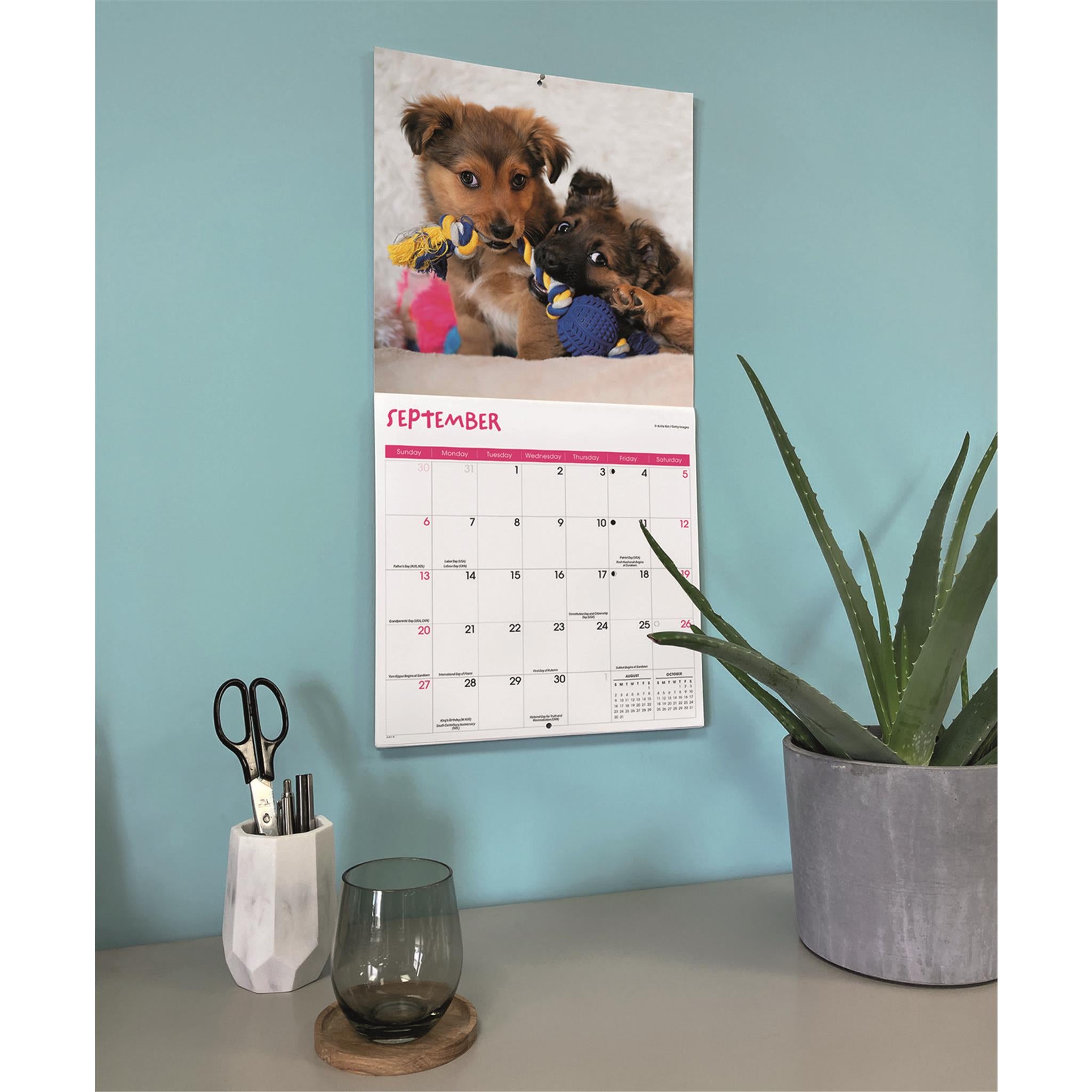 At-A-Glance Puppies Wall Calendar - AAGDMW16728