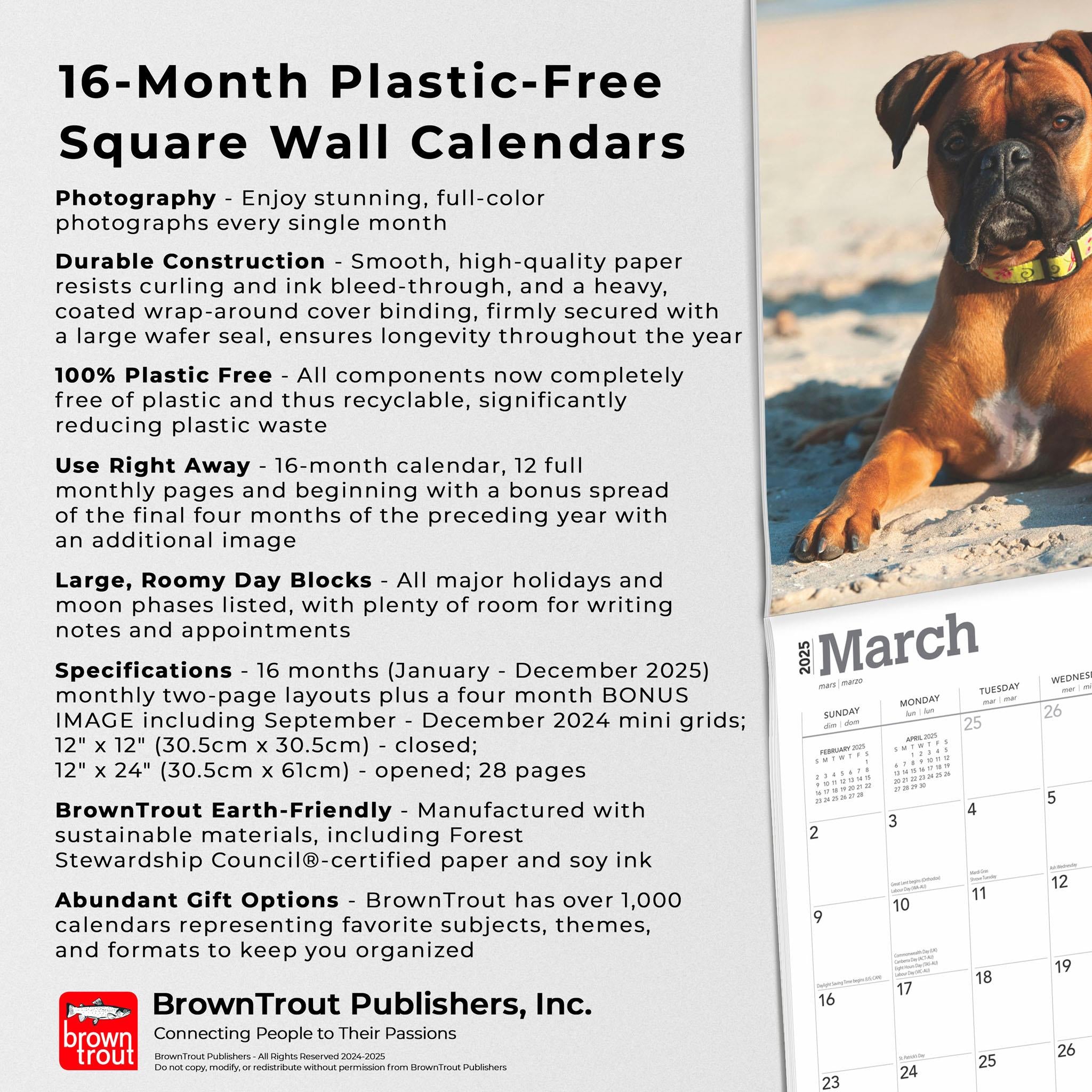 Boxers International Wall 2025 Calendar