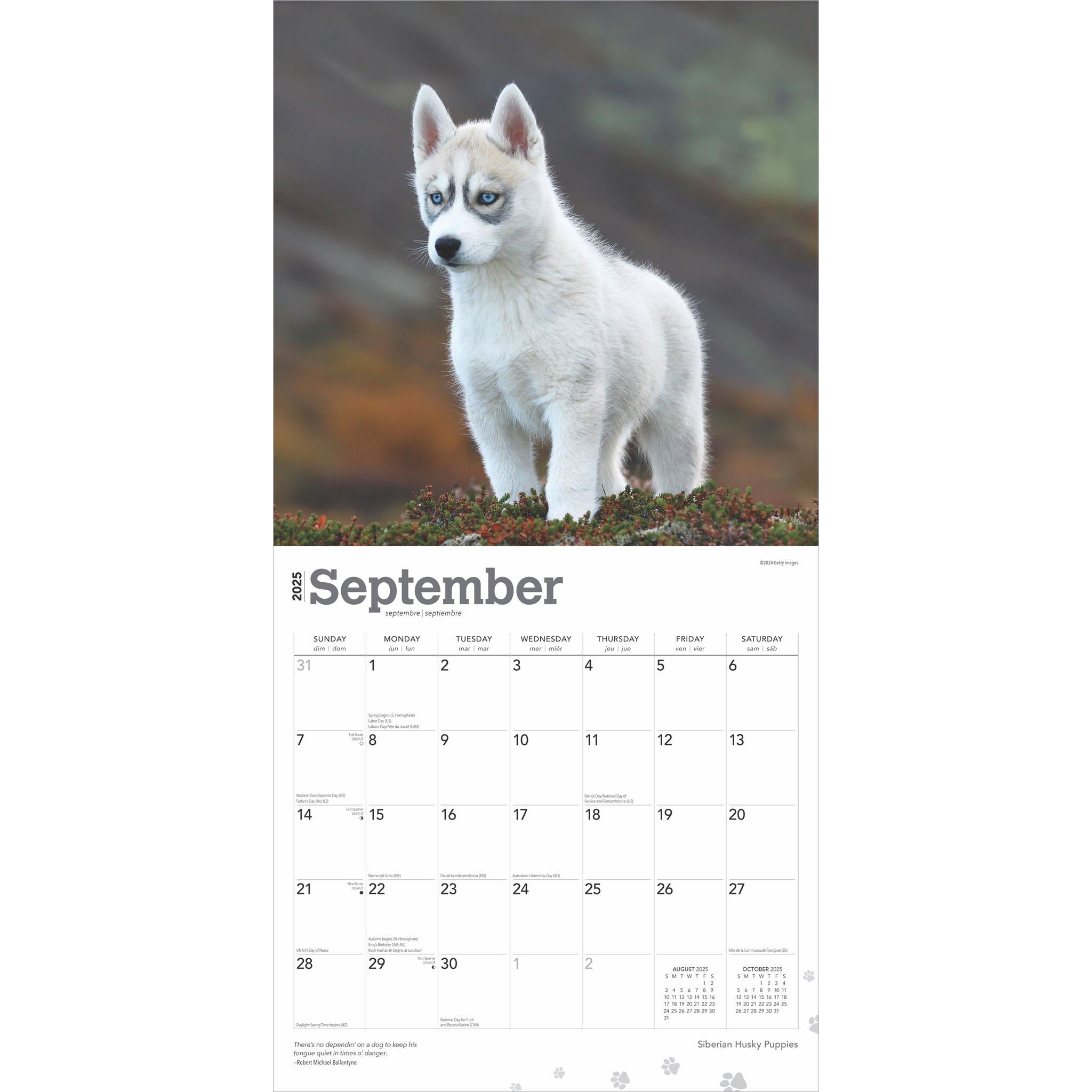 Siberian Husky Puppies Wall 2025 Calendar