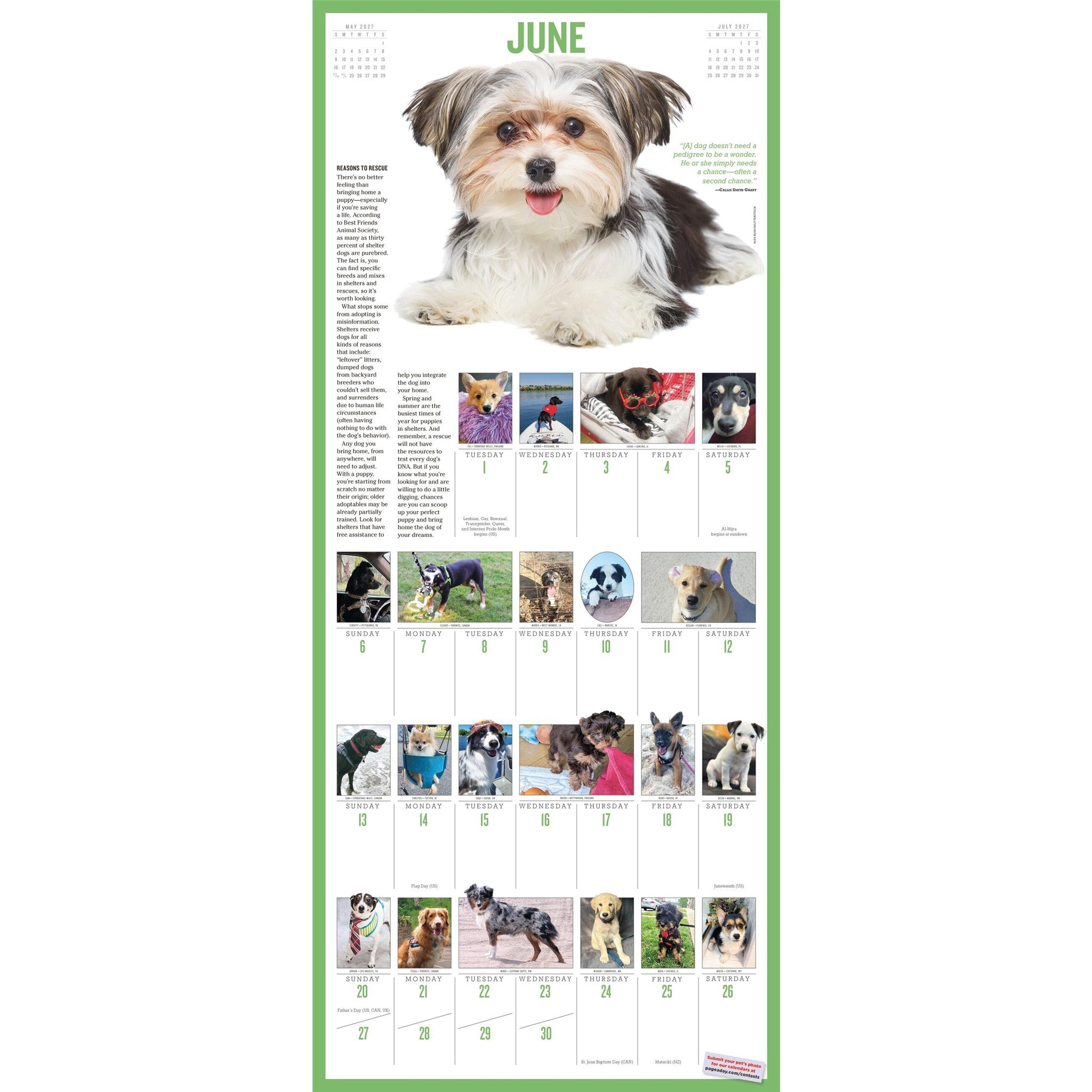 365 Puppies a Year 2027 Wall Calendar