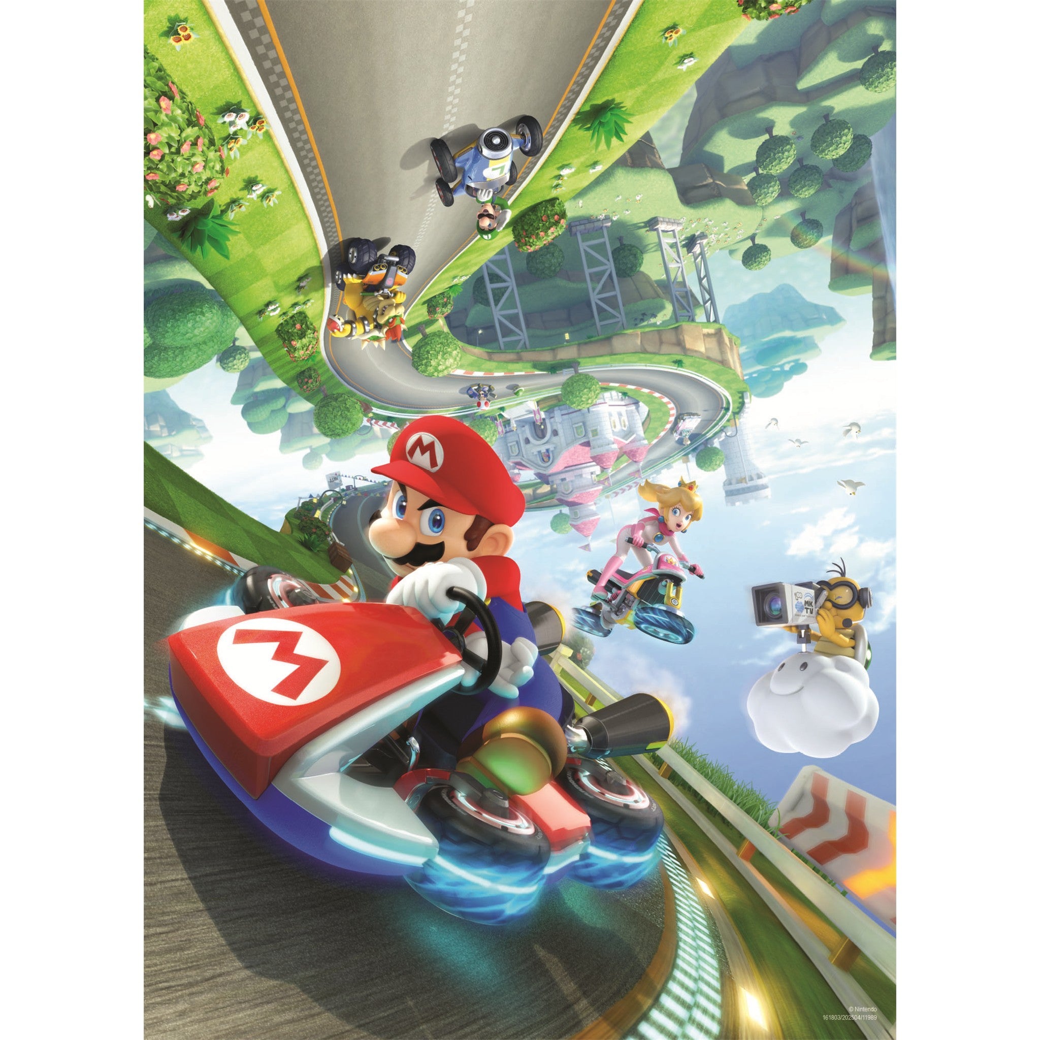 Mario Kart Anti-Gravity 1000 Piece Puzzle