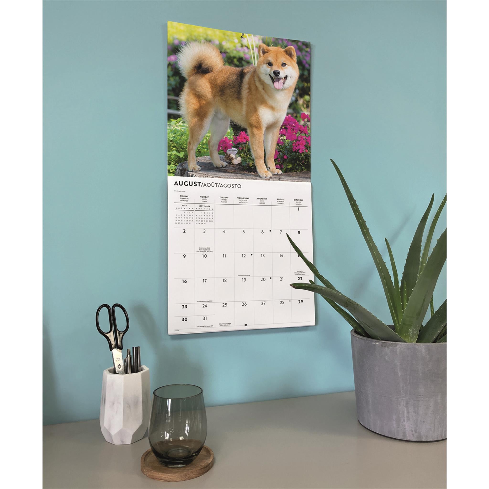 Calendrier Mural Shiba Inu 2026 - Format A3, 12 Photos De Chiens, Spirale - 6