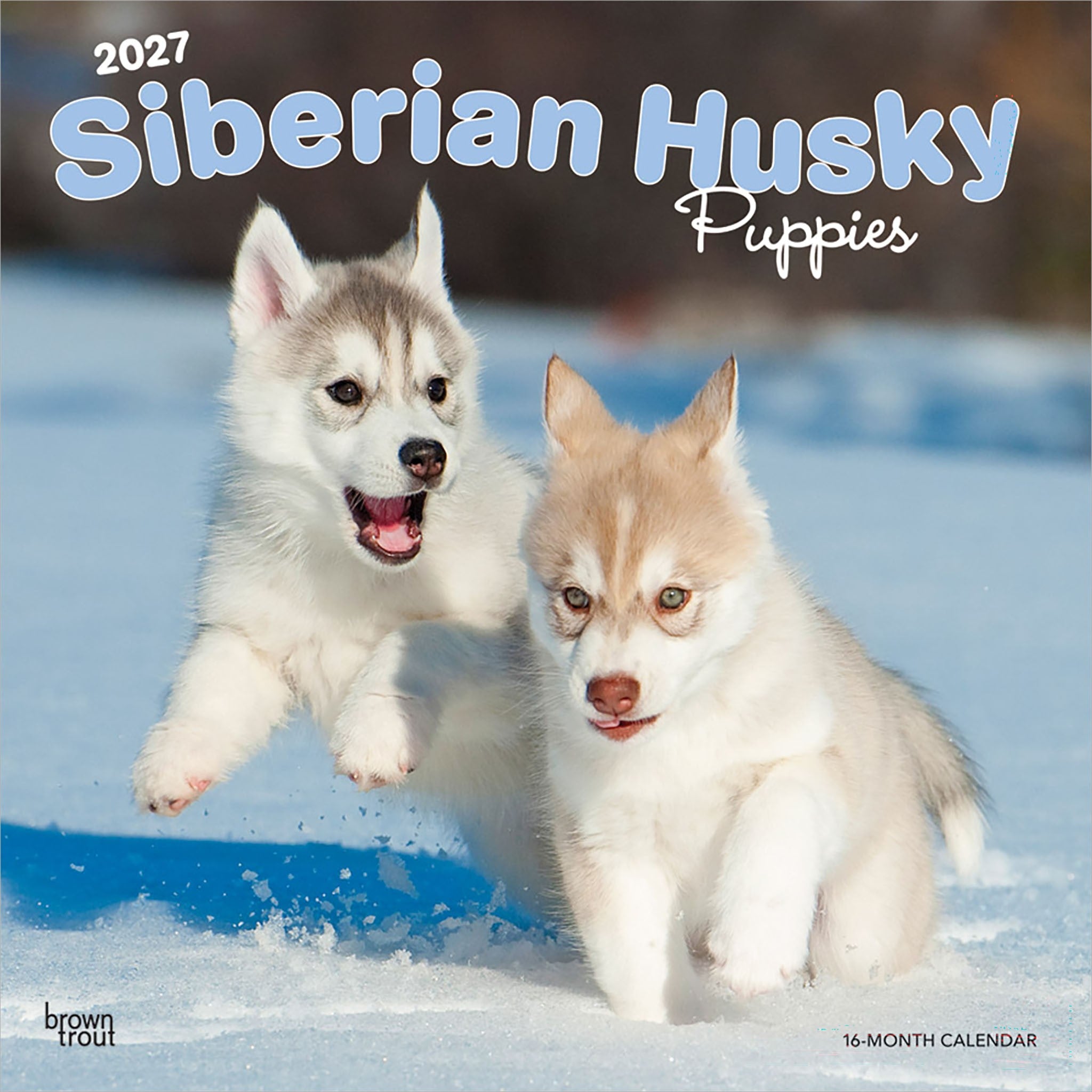 Siberian Husky Puppies 2027 Wall Calendar