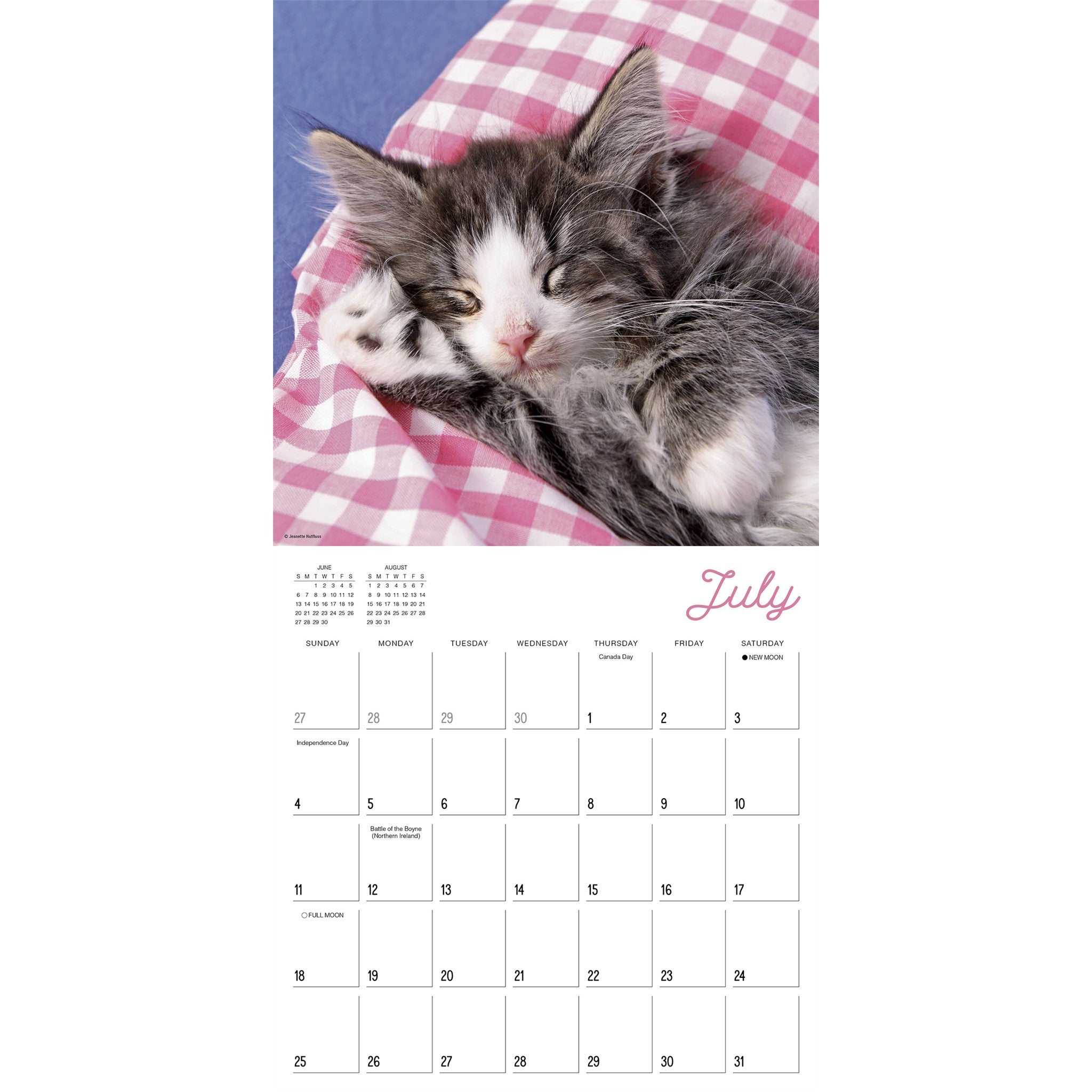 Cat Naps 2027 Wall Calendar - Online Only