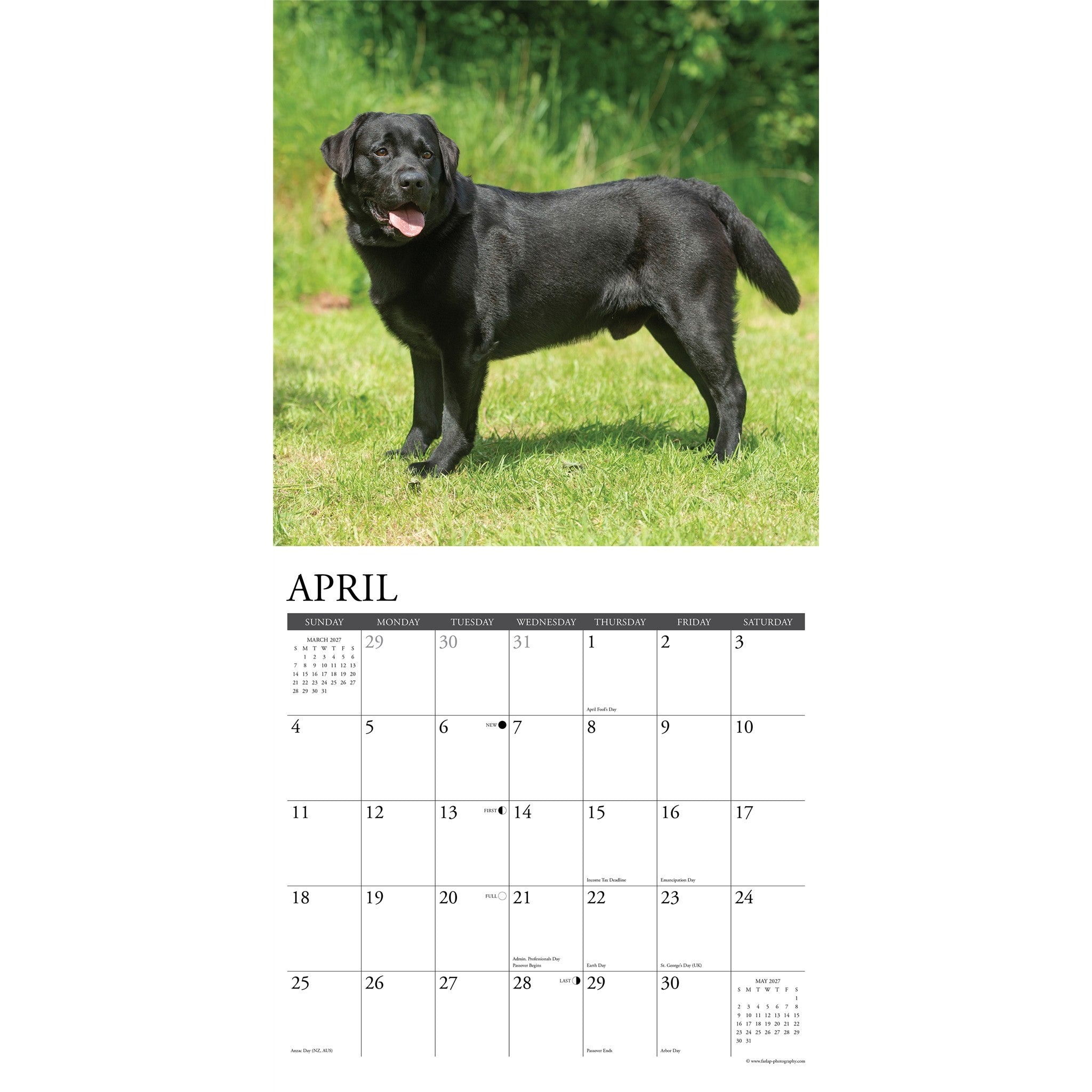 Black Labs 2027 Wall Calendar - Online Only