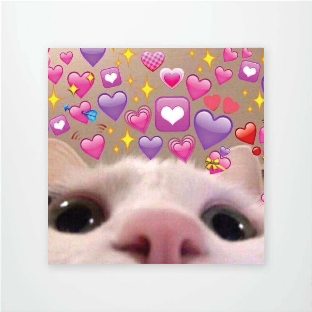 Cat Selfie Meme Vinyl Sticker