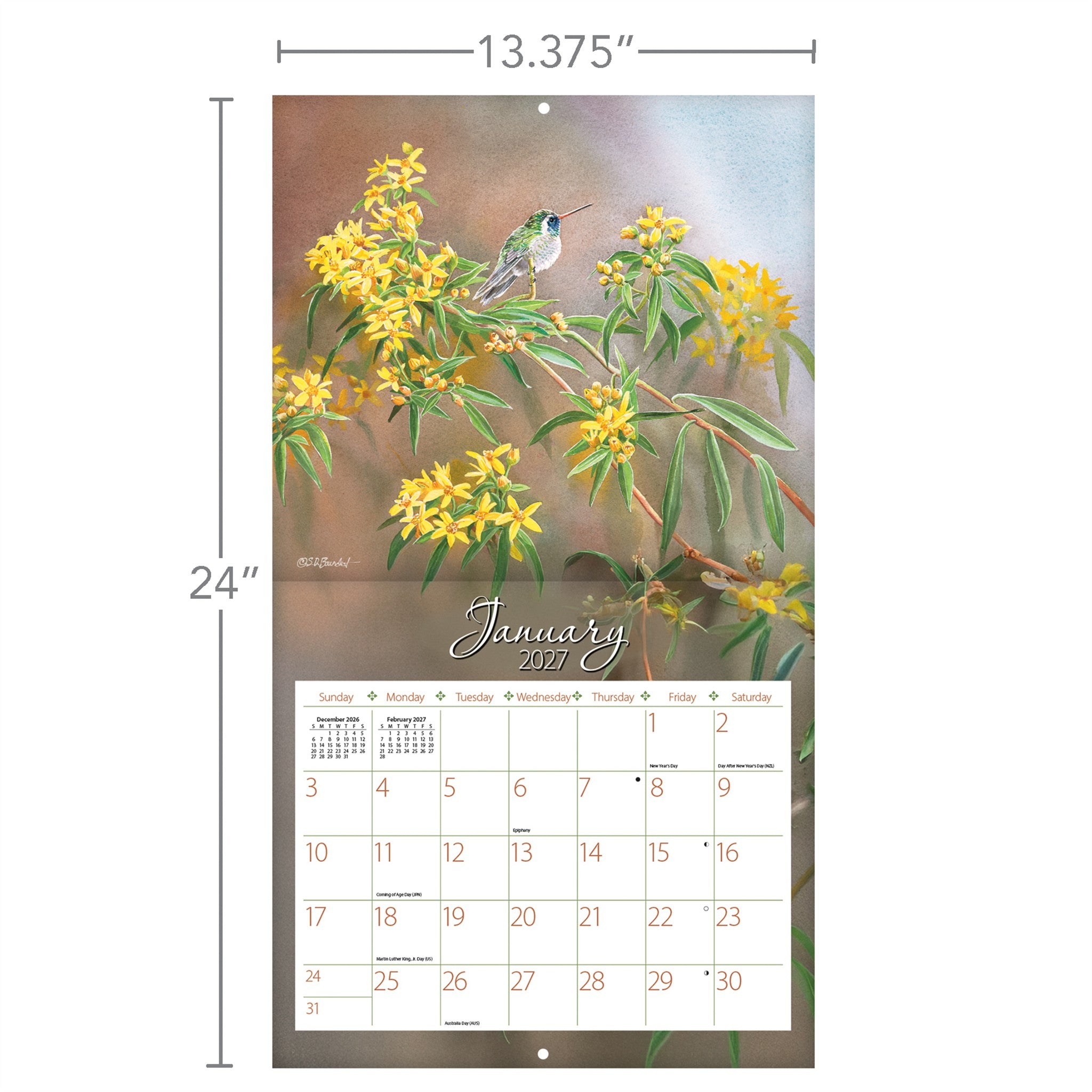 Hummingbirds 2027 Wall Calendar - Online Only