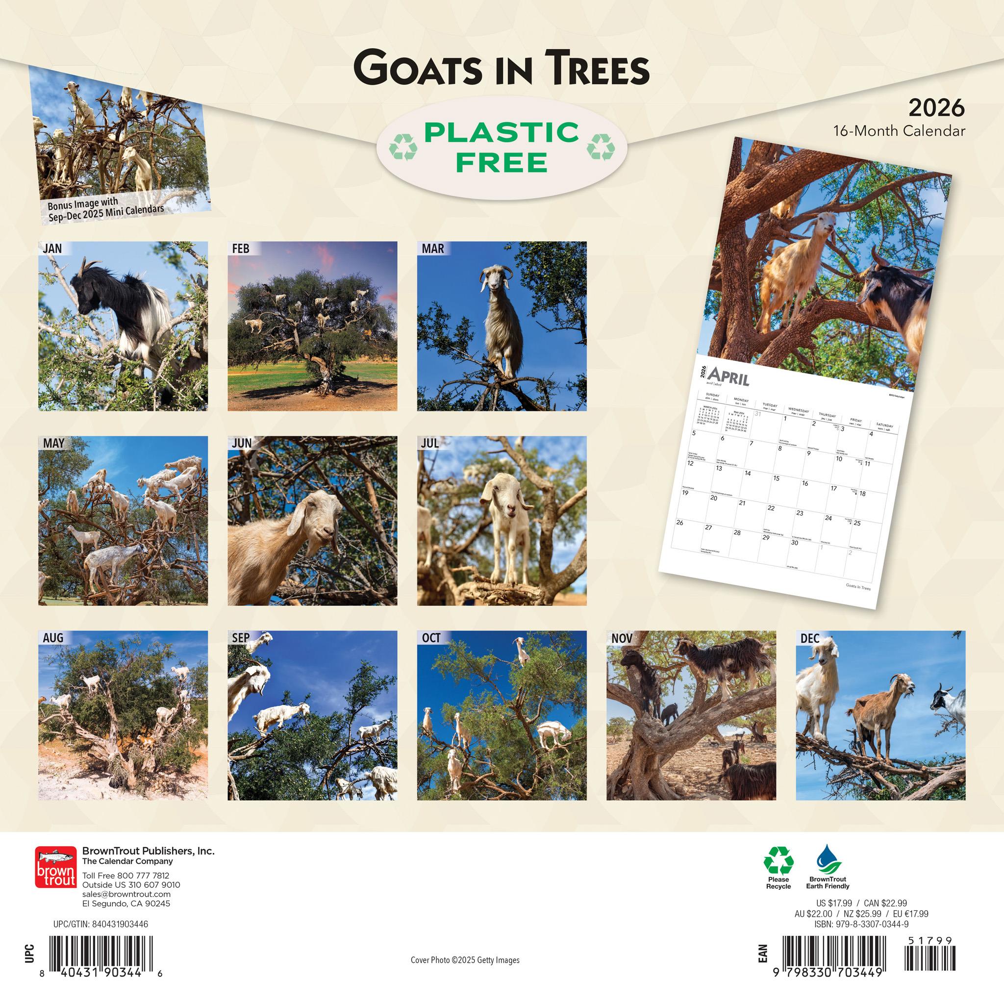 Goats In Trees 2026 Wall Calendar