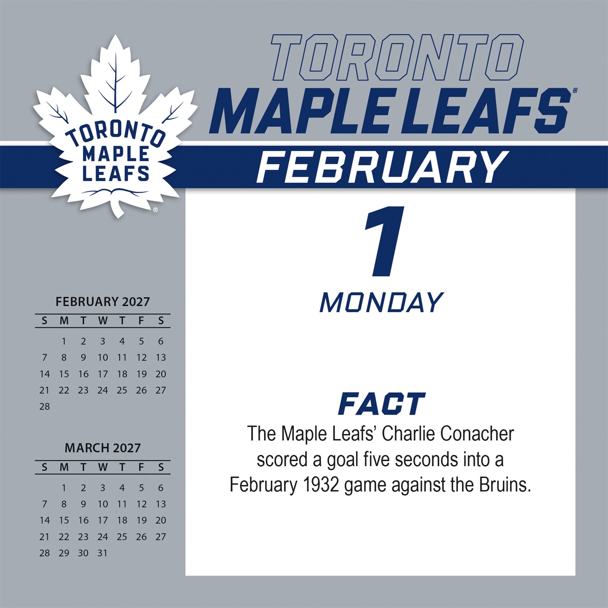 NHL Toronto Maple Leafs 2027 Box Calendar