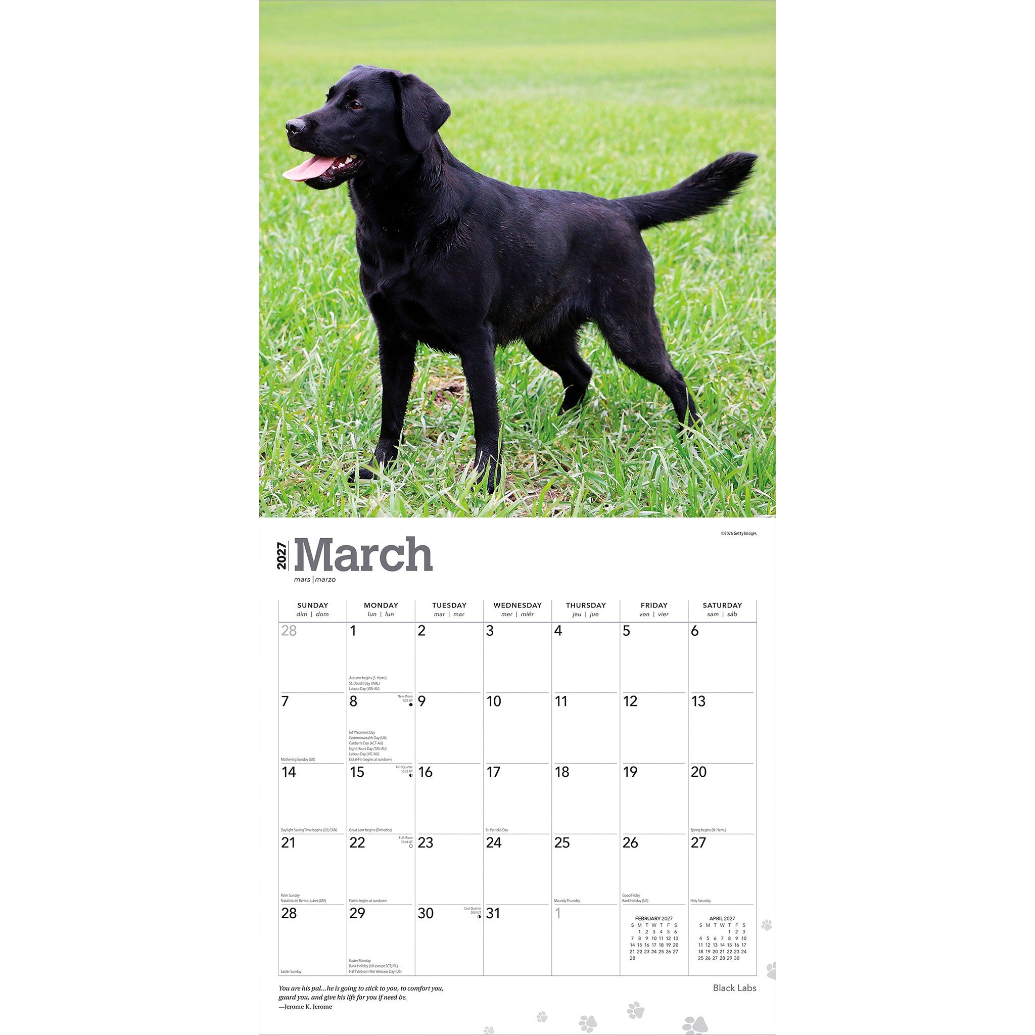 Black Labs 2027 Wall Calendar