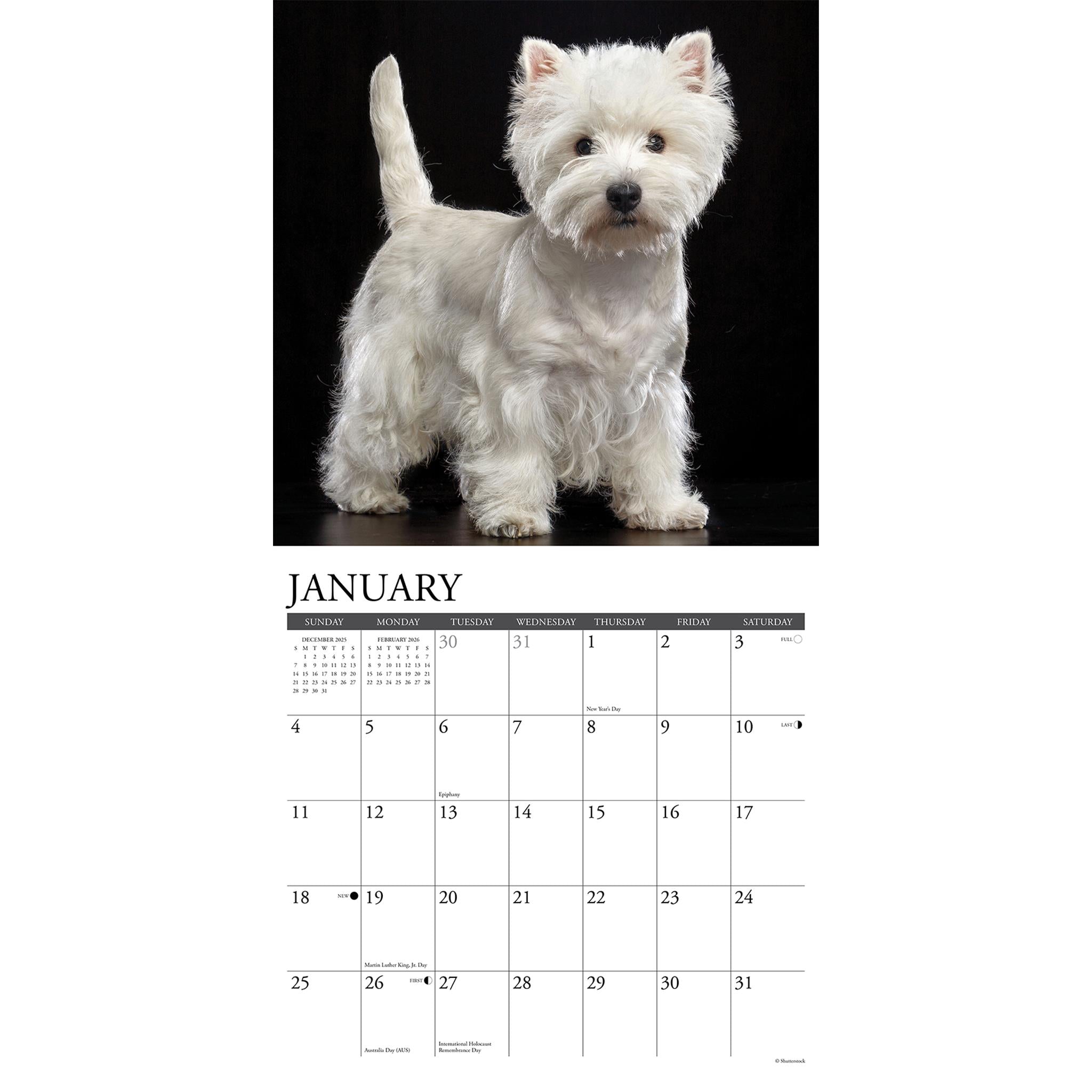 Just Westies 2026 Wall Calendar - Online Only