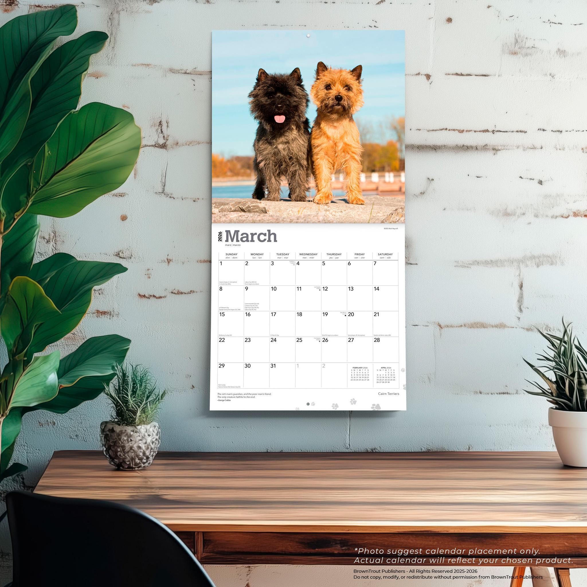 Cairn Terrier Kalender kopen? | Ruim Aanbod & Scherpe Prijzen