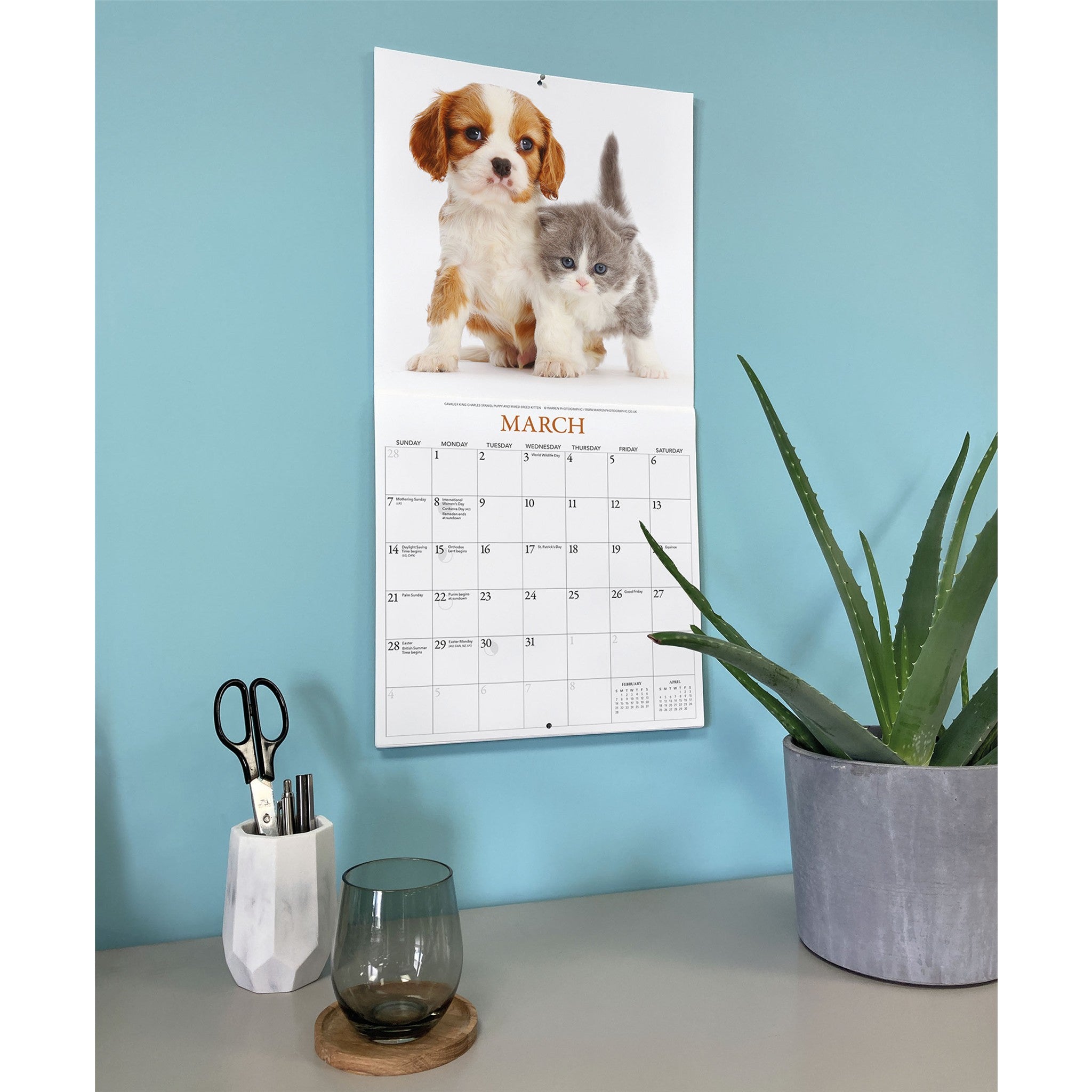 Kittens and Friends 2027 Wall Calendar