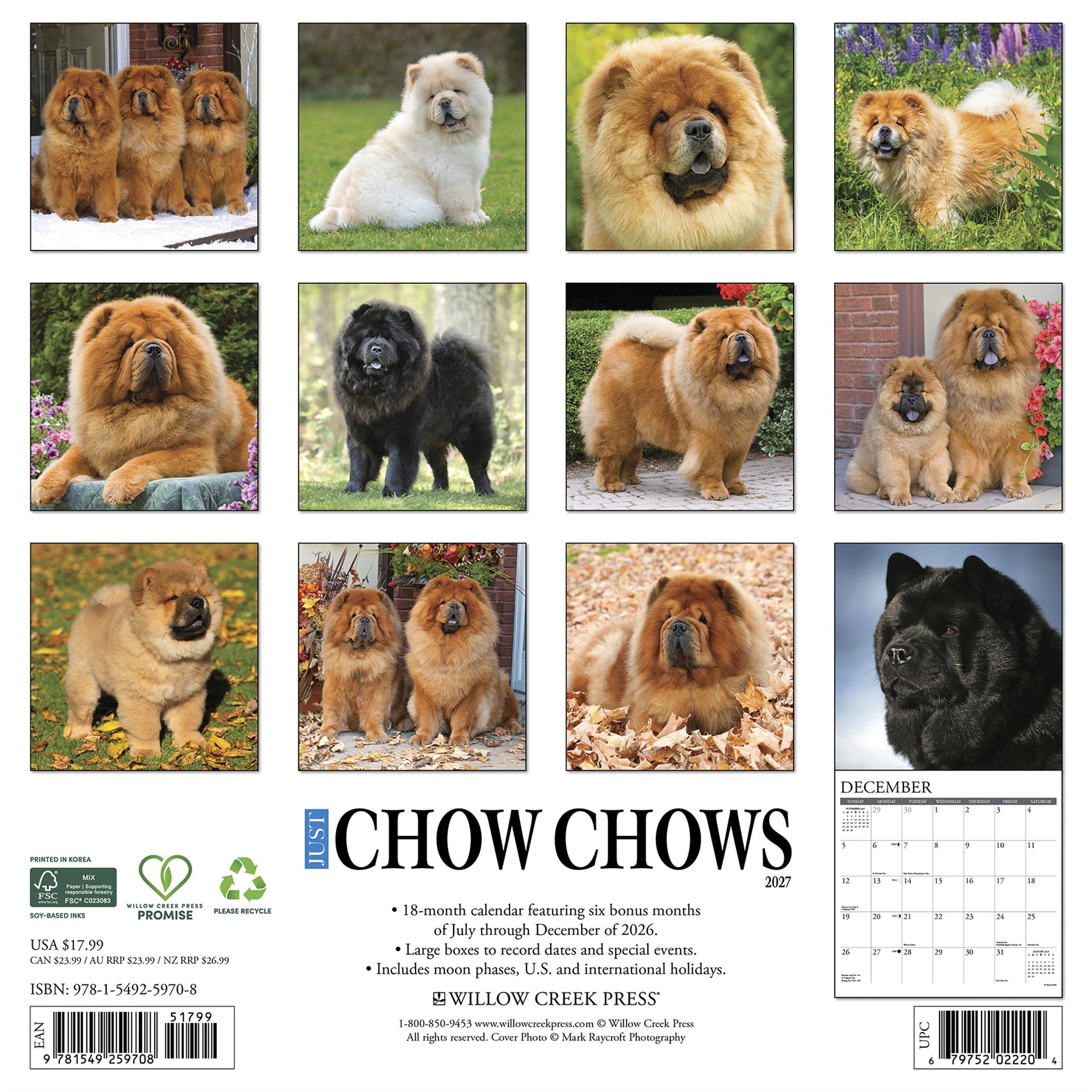 Chow Chows 2027 Wall Calendar