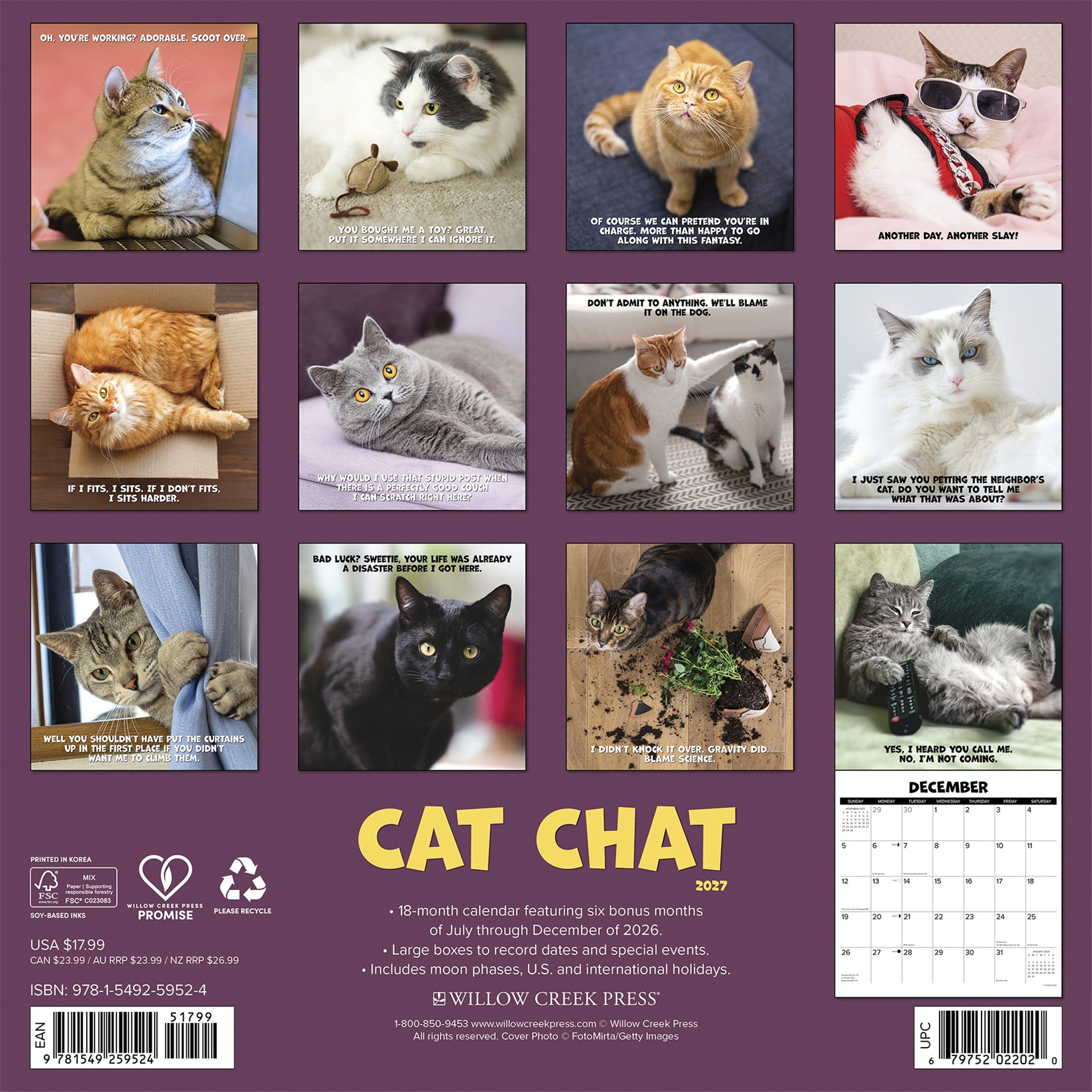 Cat Chat 2027 Wall Calendar - Online Only