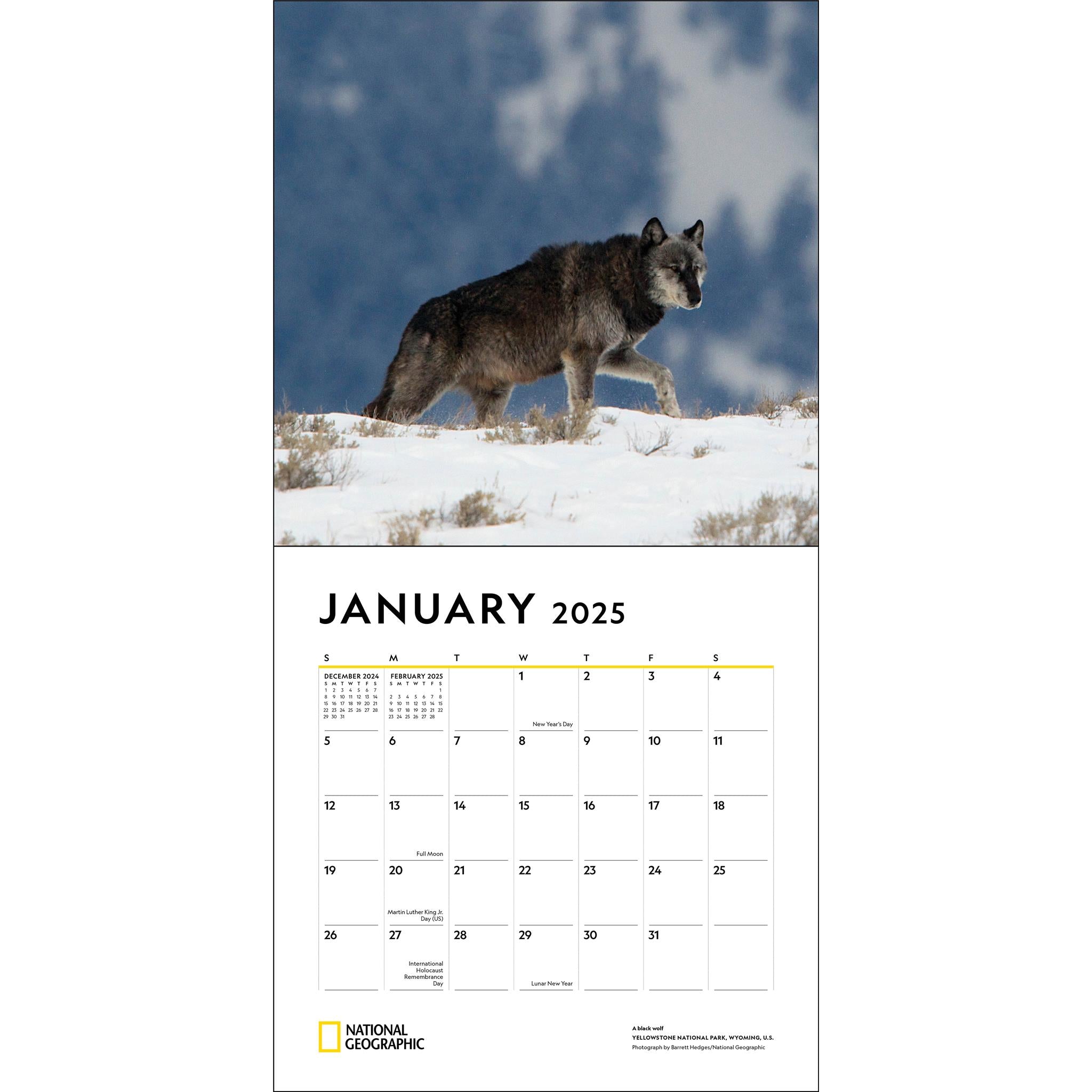 National Geographic Calendar 2025