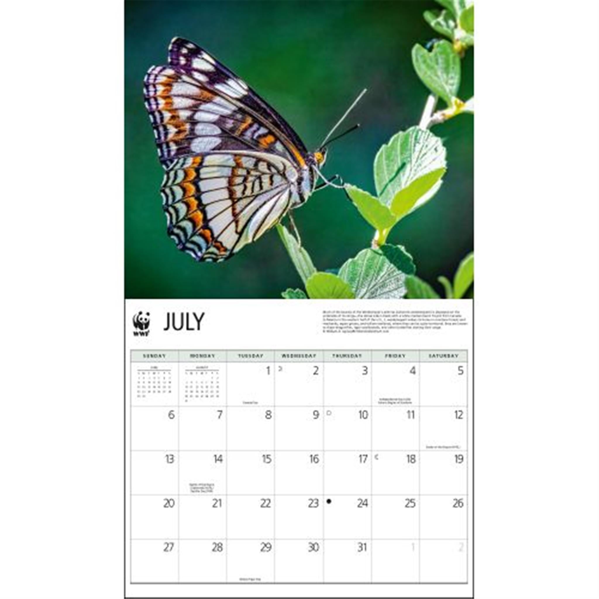 Butterflies World Wildlife Fund Wall 2025 Calendar