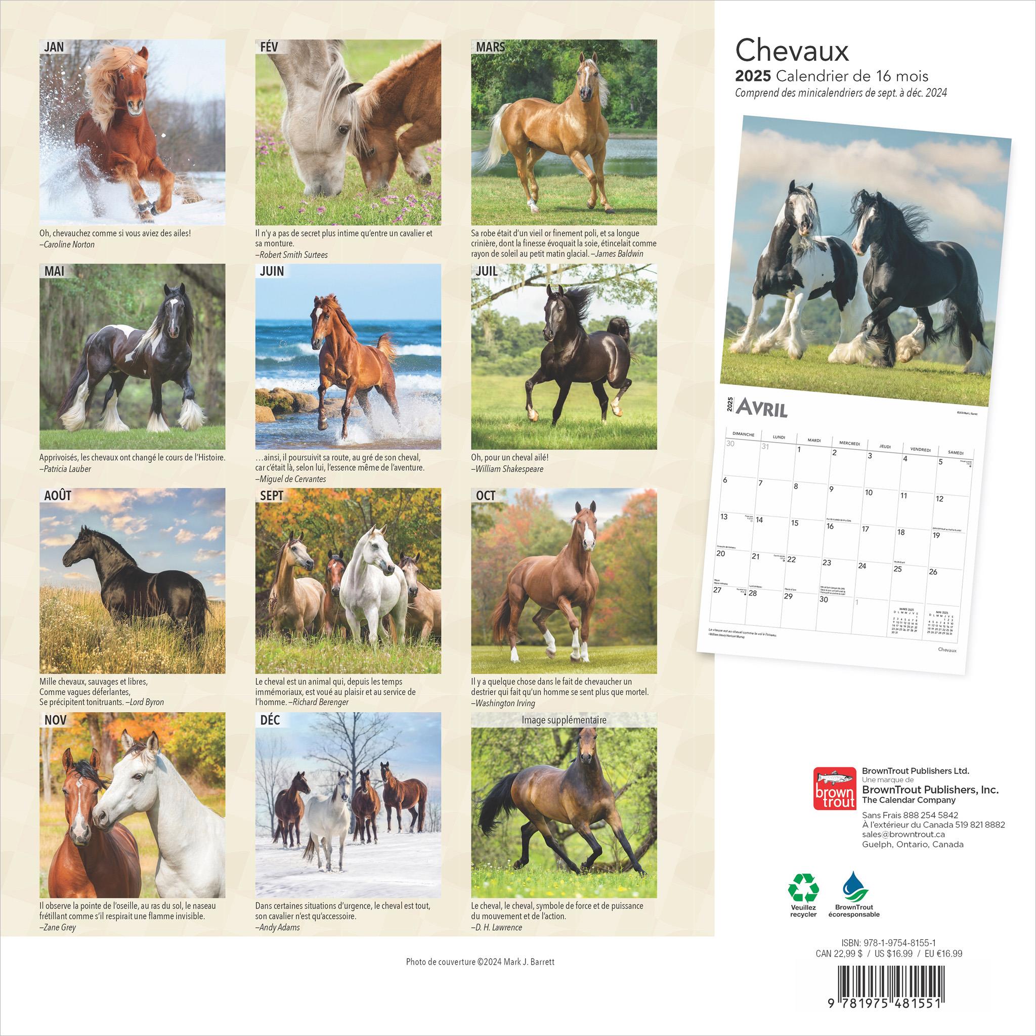 Chevaux Wall 2025 Calendar (French)