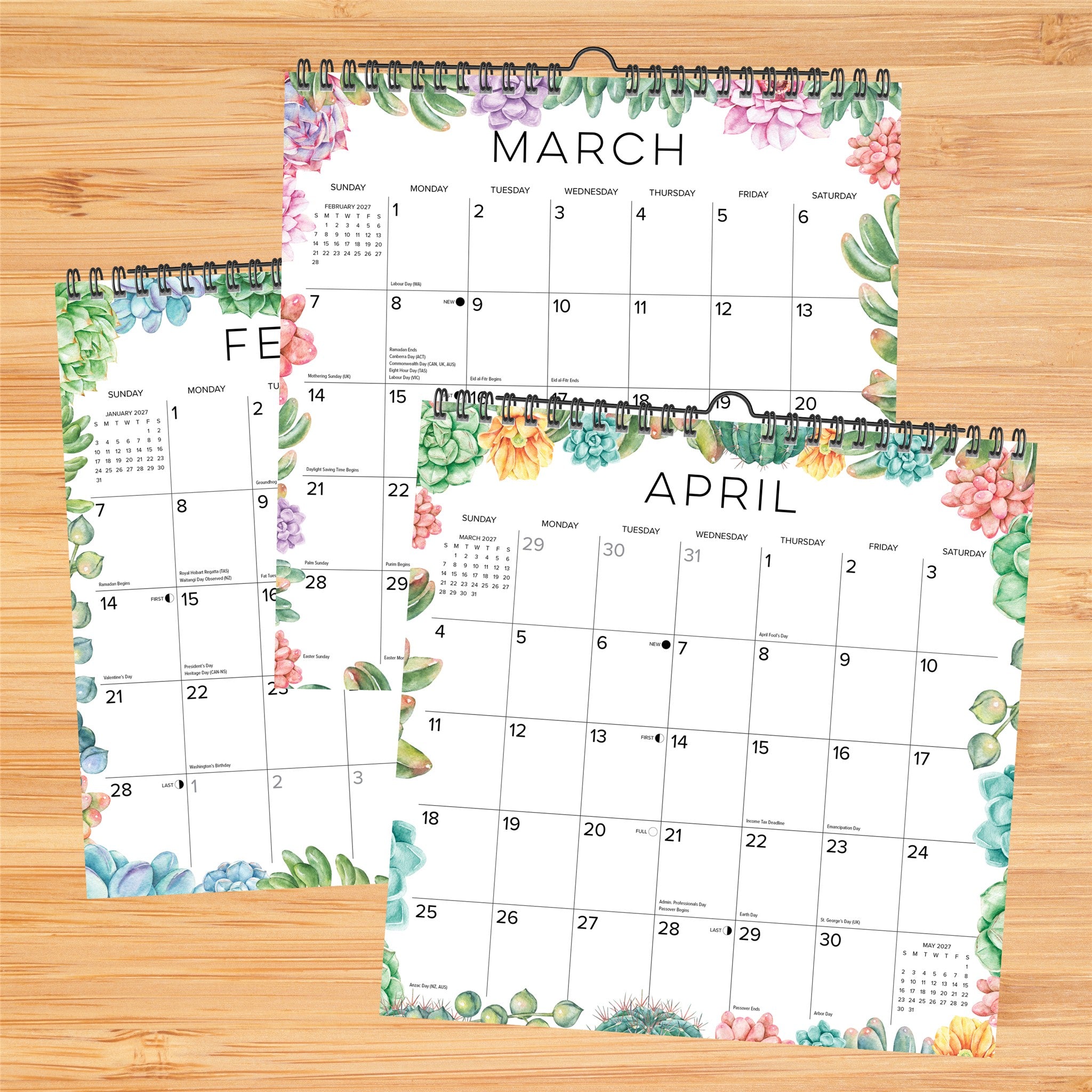 Succulents 2027 Spiral Wall Calendar