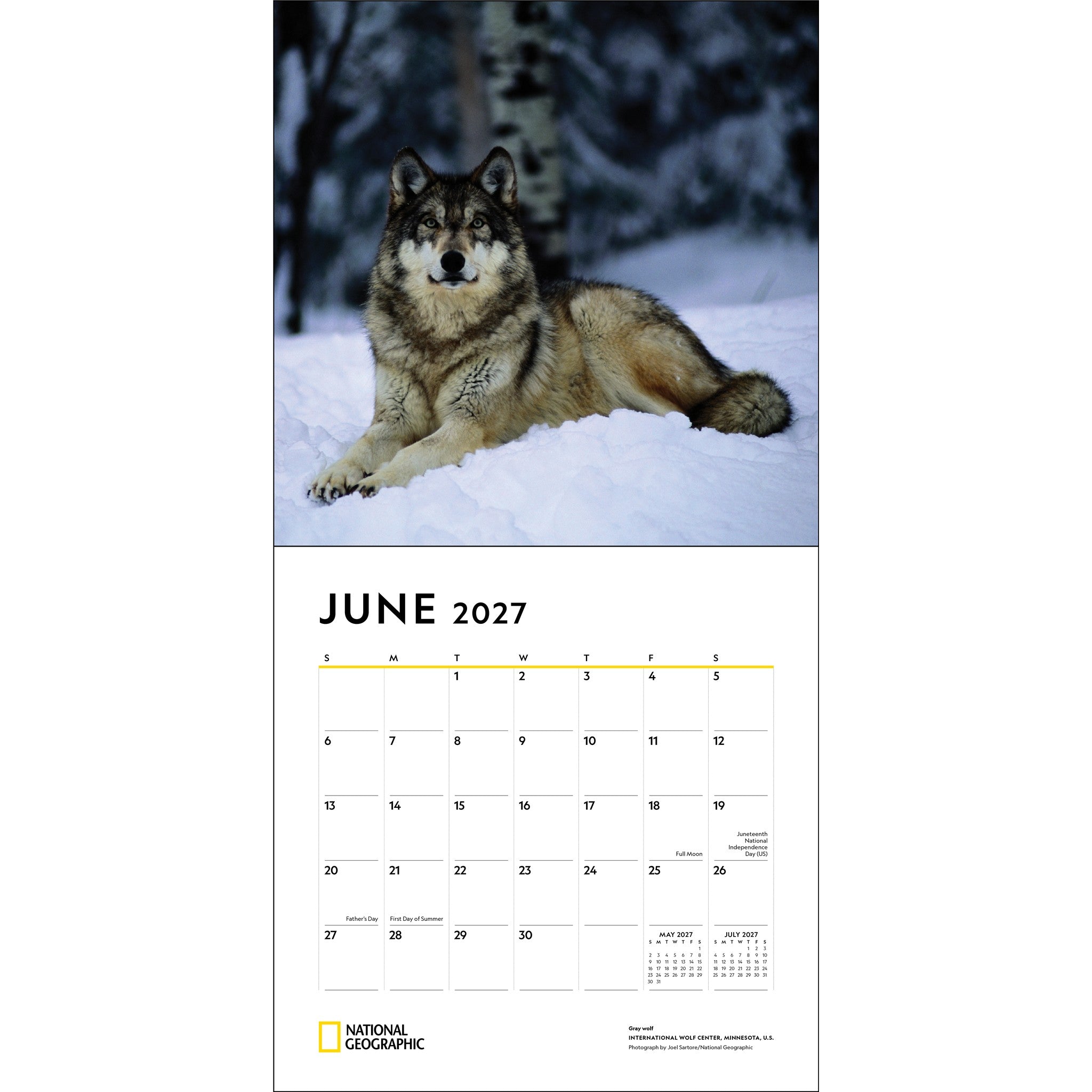 National Geographic: Wolves 2027 Wall Calendar