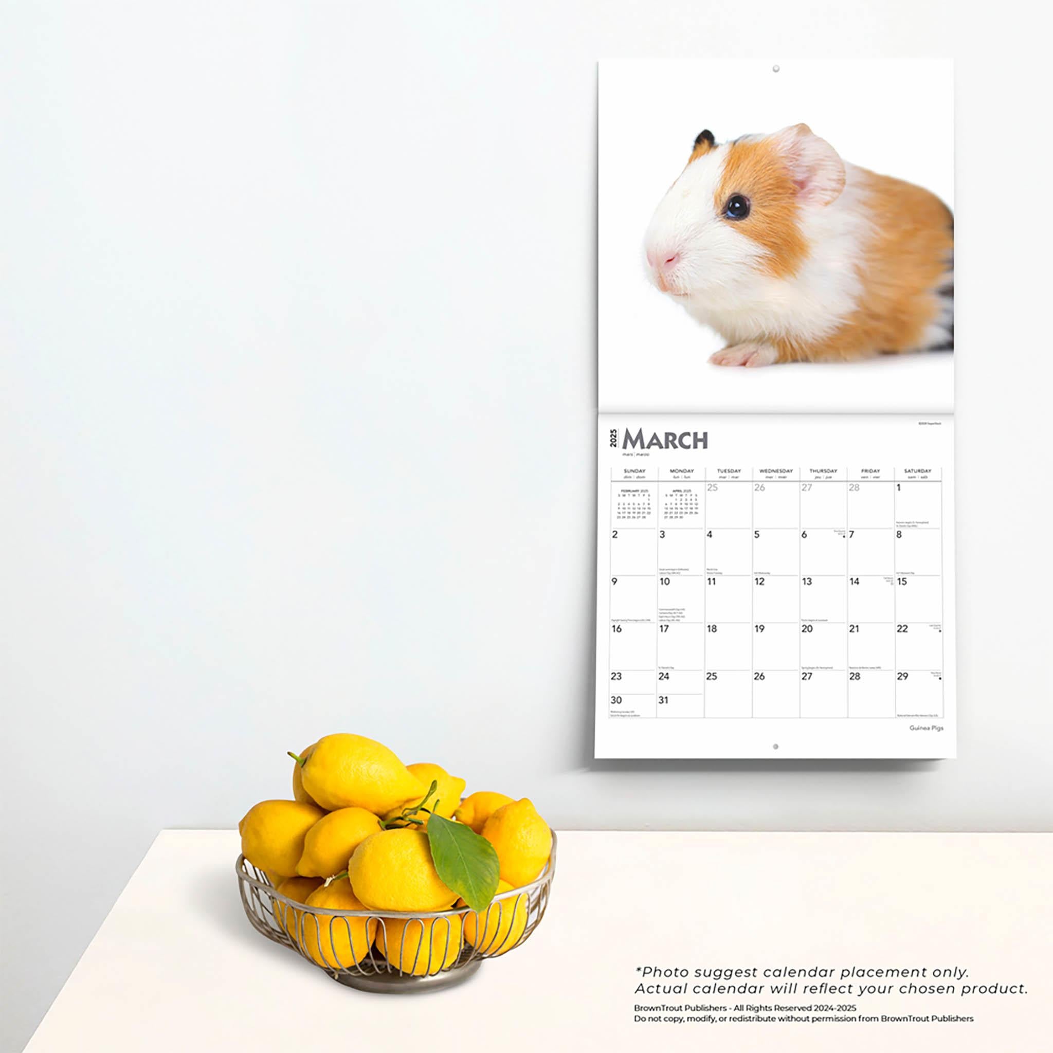 Guinea Pigs Wall 2025 Calendar