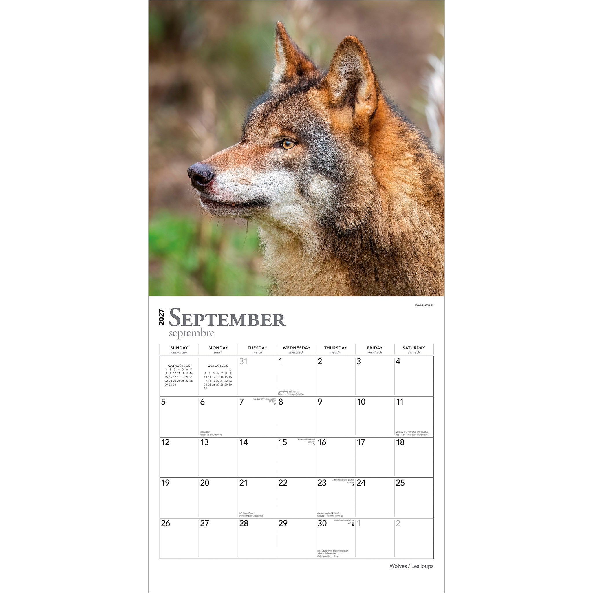 Wolves / Les loups 2027 Wall Calendar