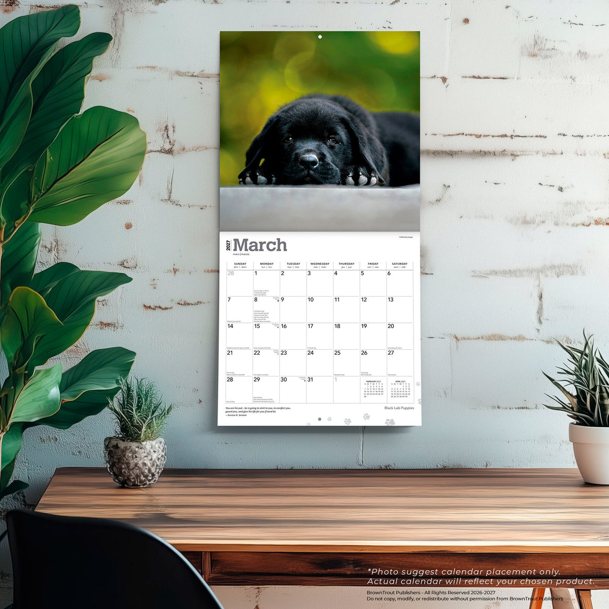 Lab Wall Calendars Black Lab Puppies 2027 Wall Calendar