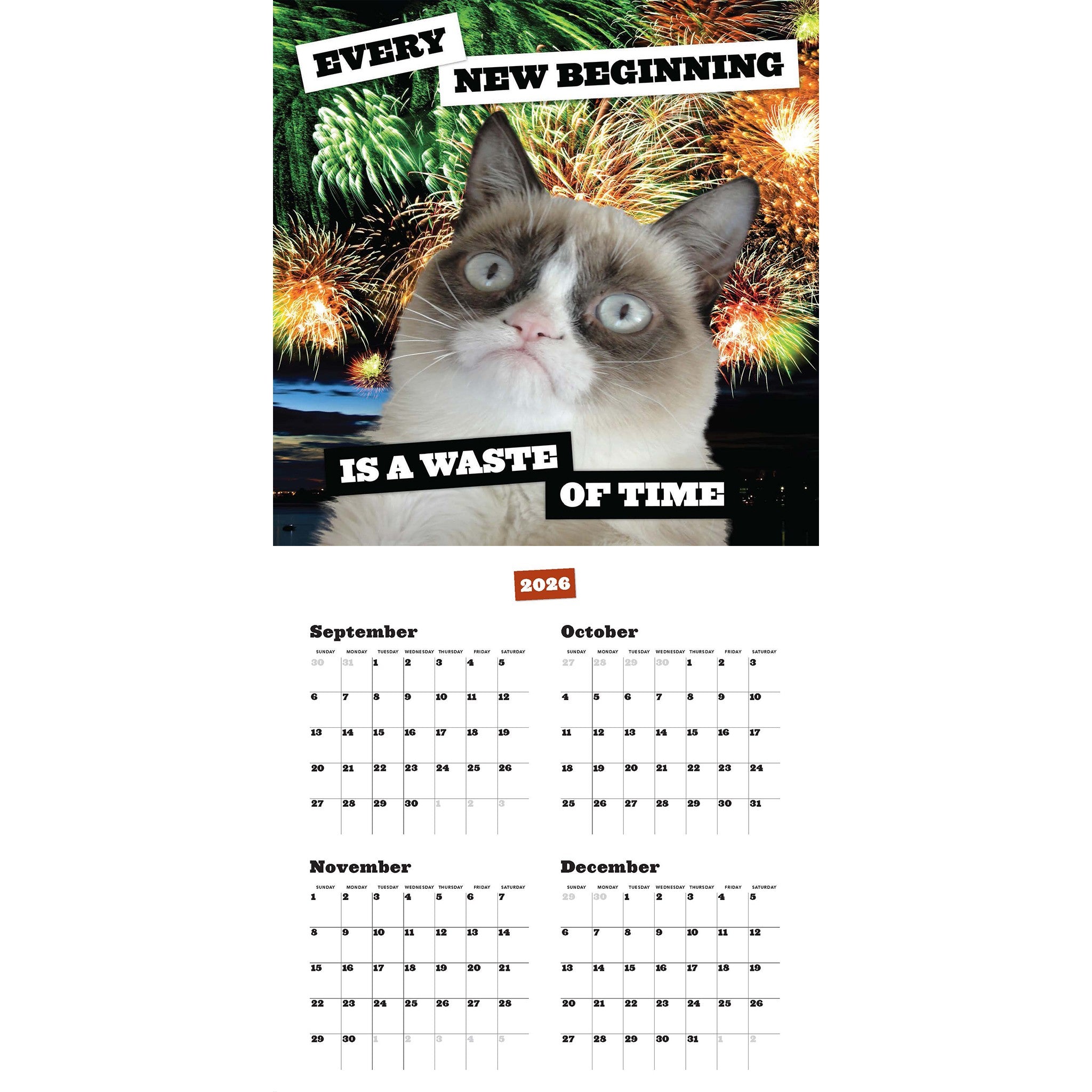Grumpy Cat 2027 Wall Calendar