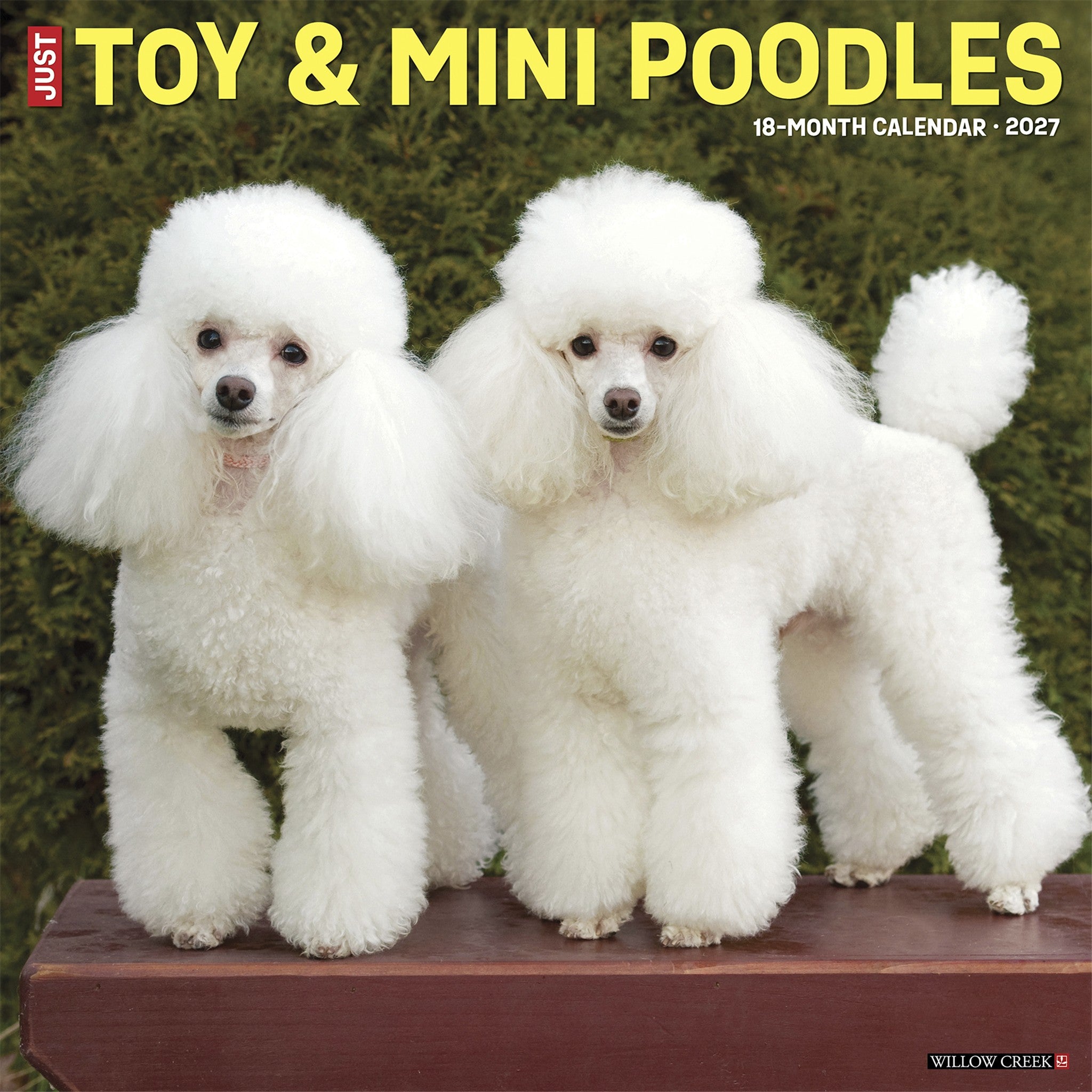 Toy & Miniature Poodles 2027 Wall Calendar - Online Only