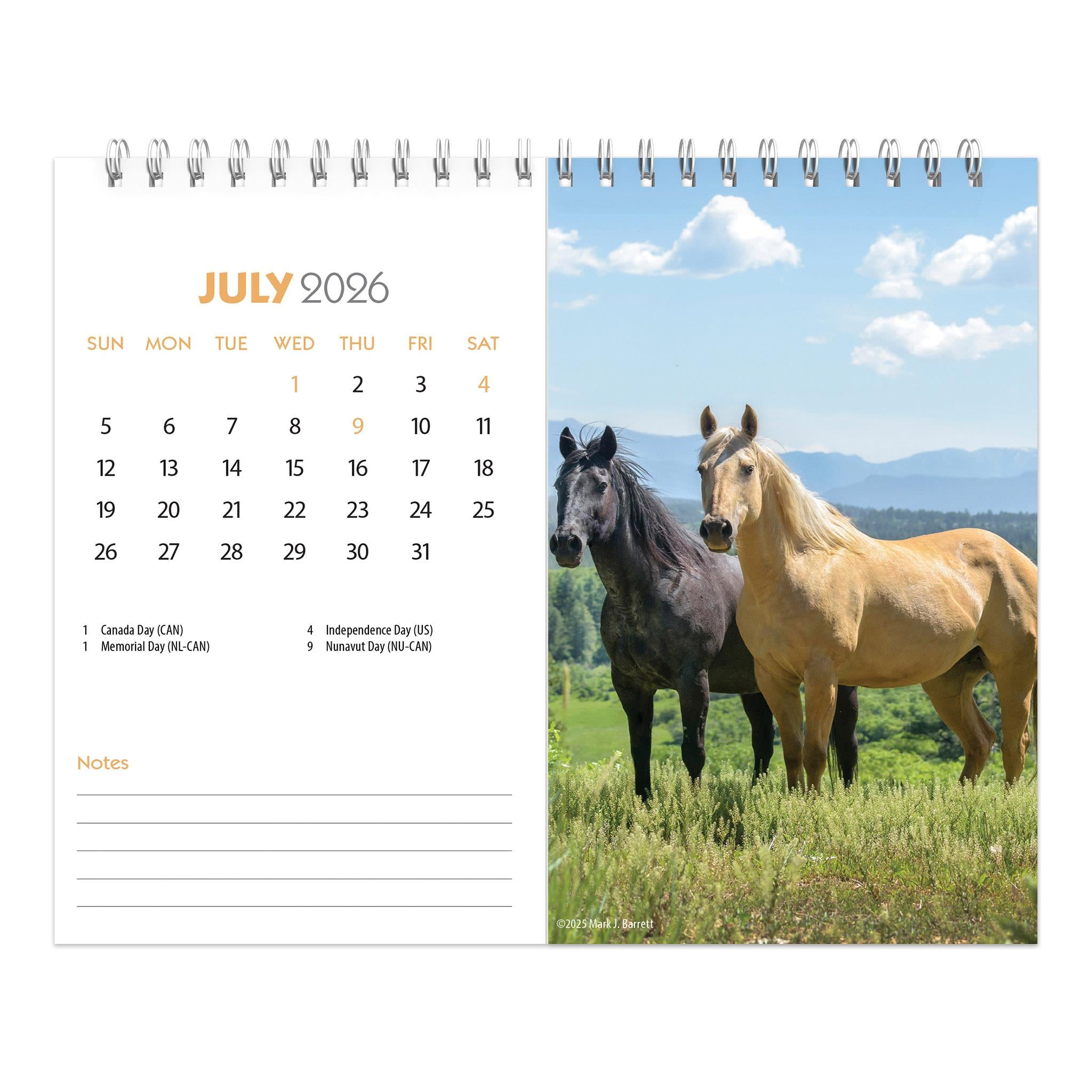 Horse Lovers 2026 Double View Easel Calendar - Online Only