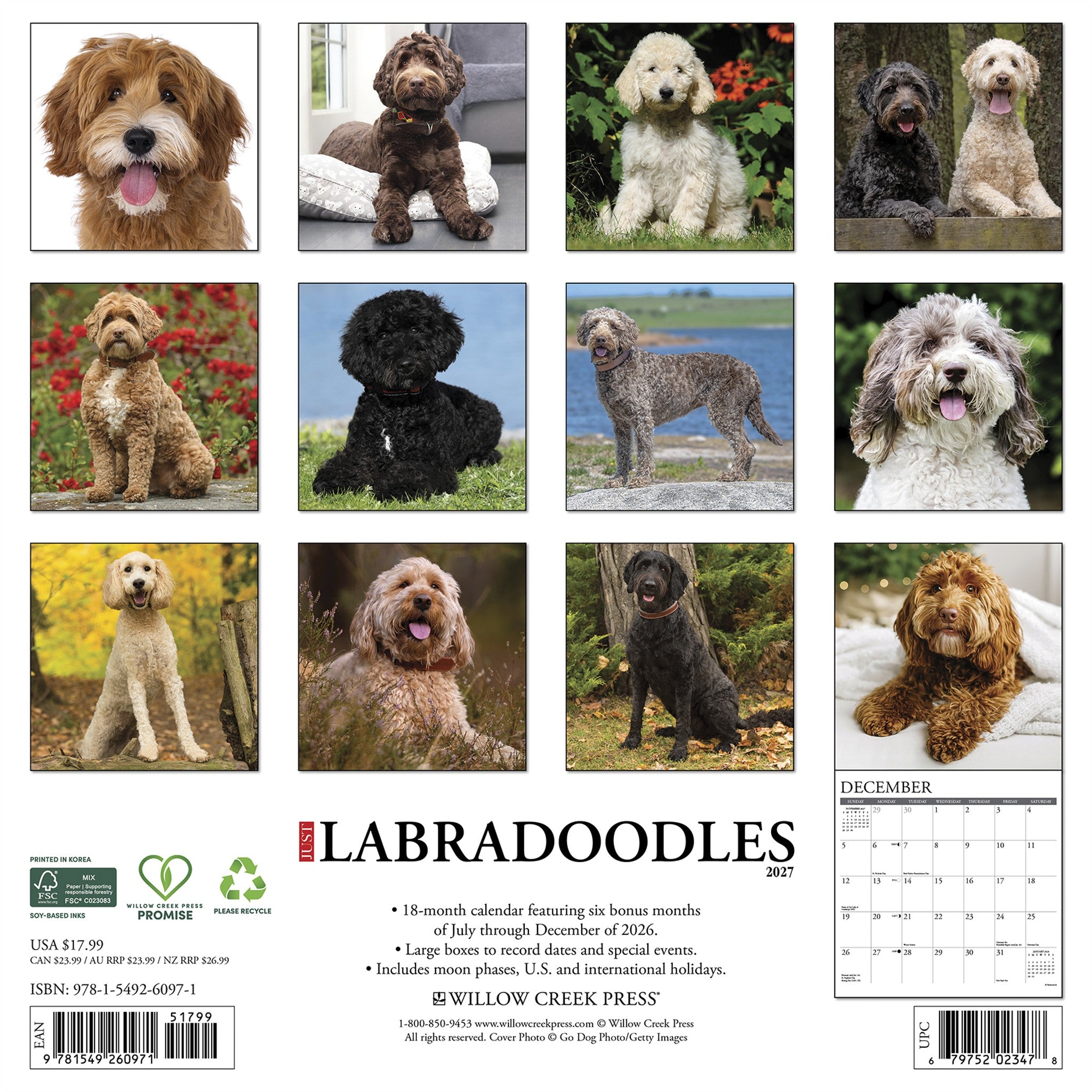 Labradoodles 2027 Wall Calendar