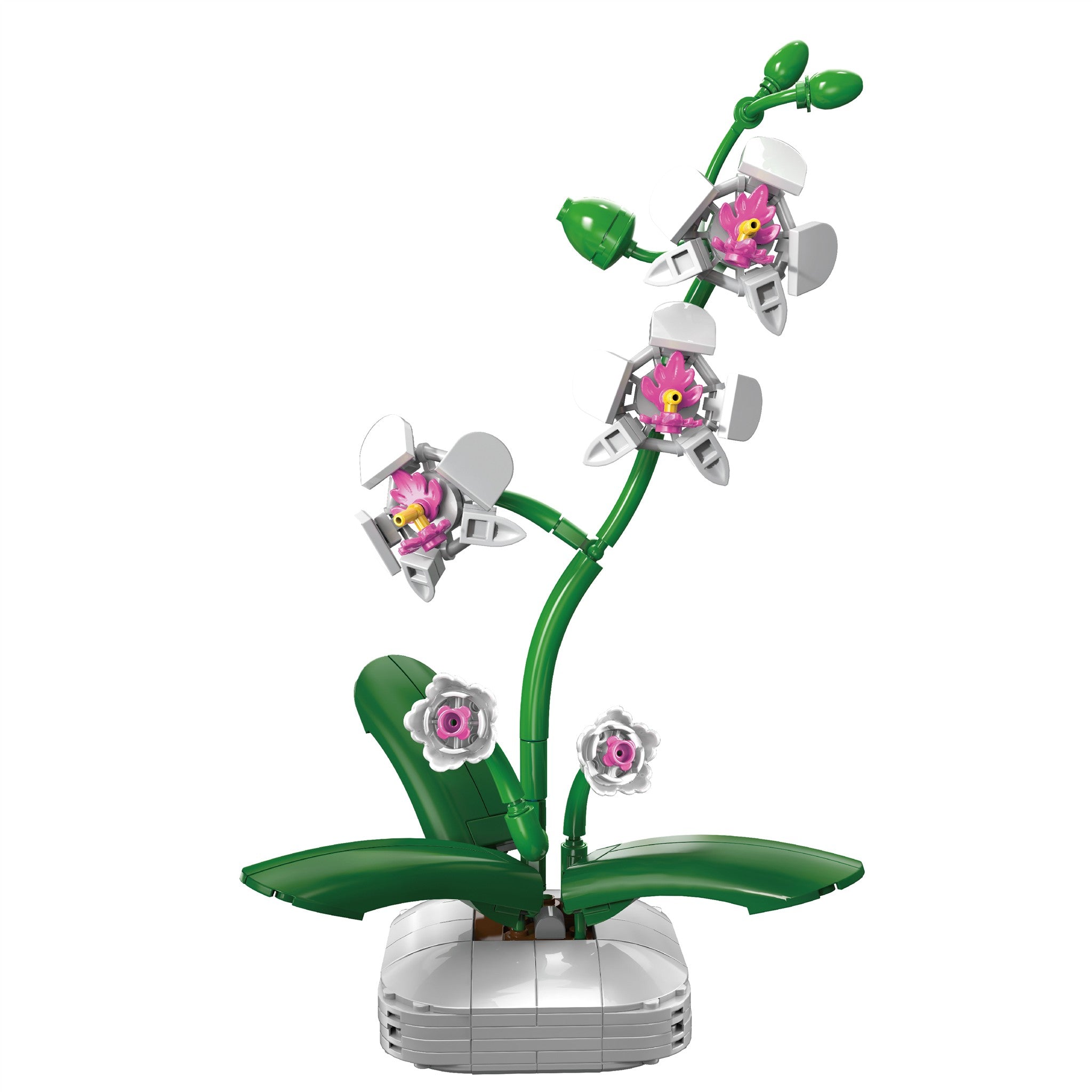 Orchid 237 Pieces