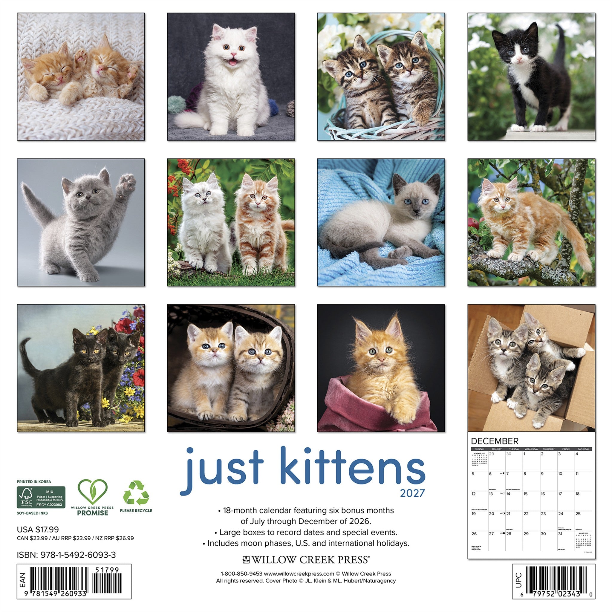Kittens 2027 Wall Calendar