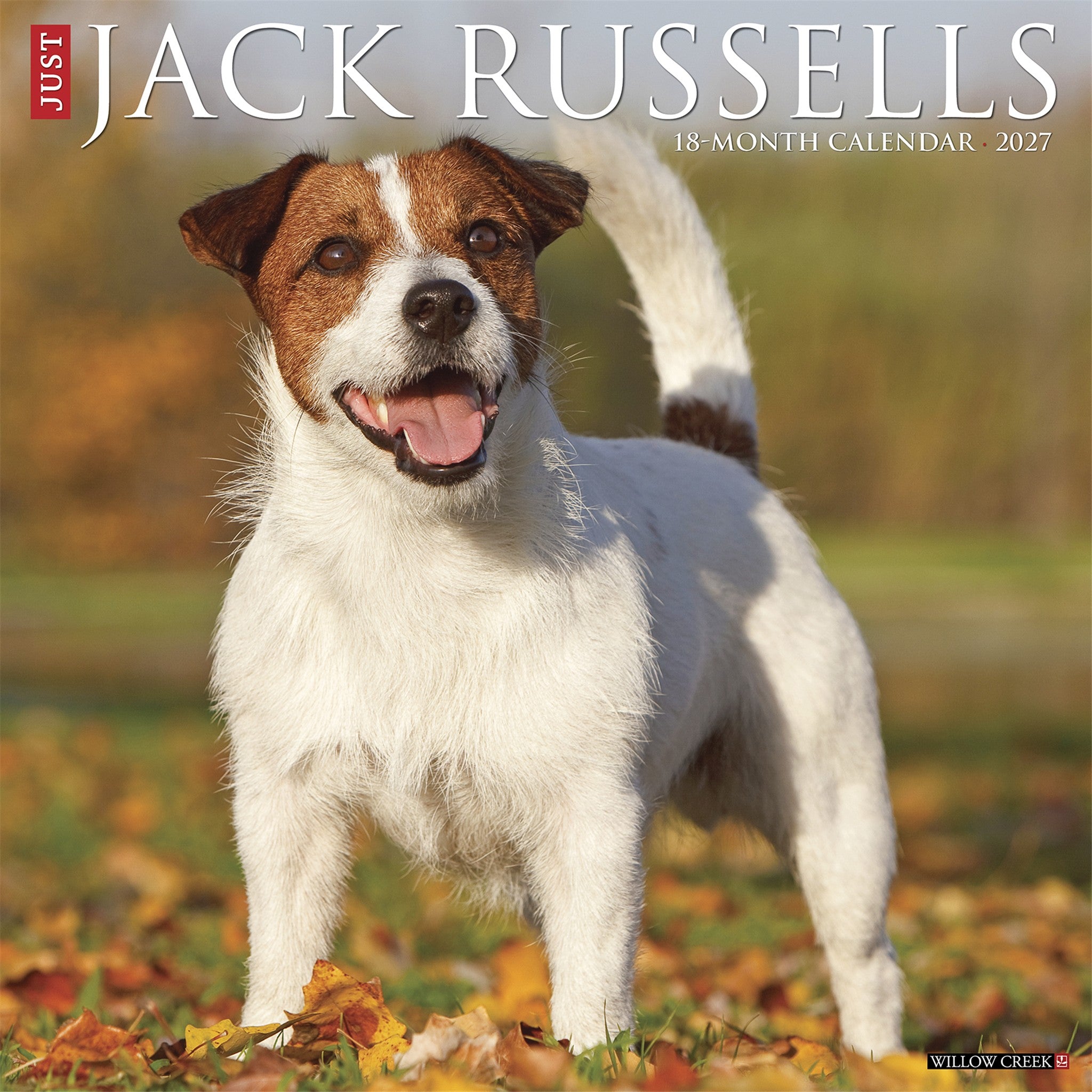 Jack Russells 2027 Wall Calendar