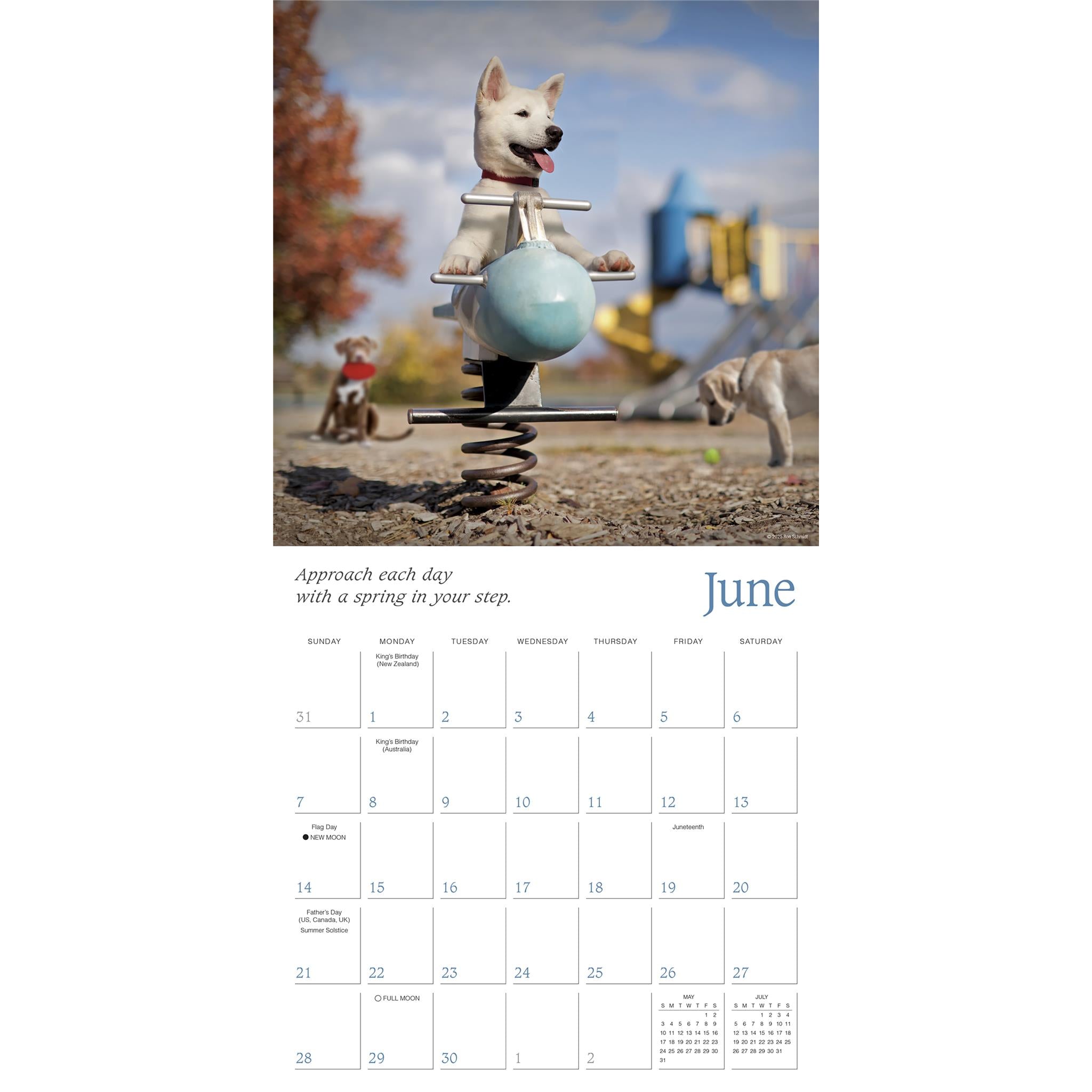 Dogma 2026 Wall Calendar
