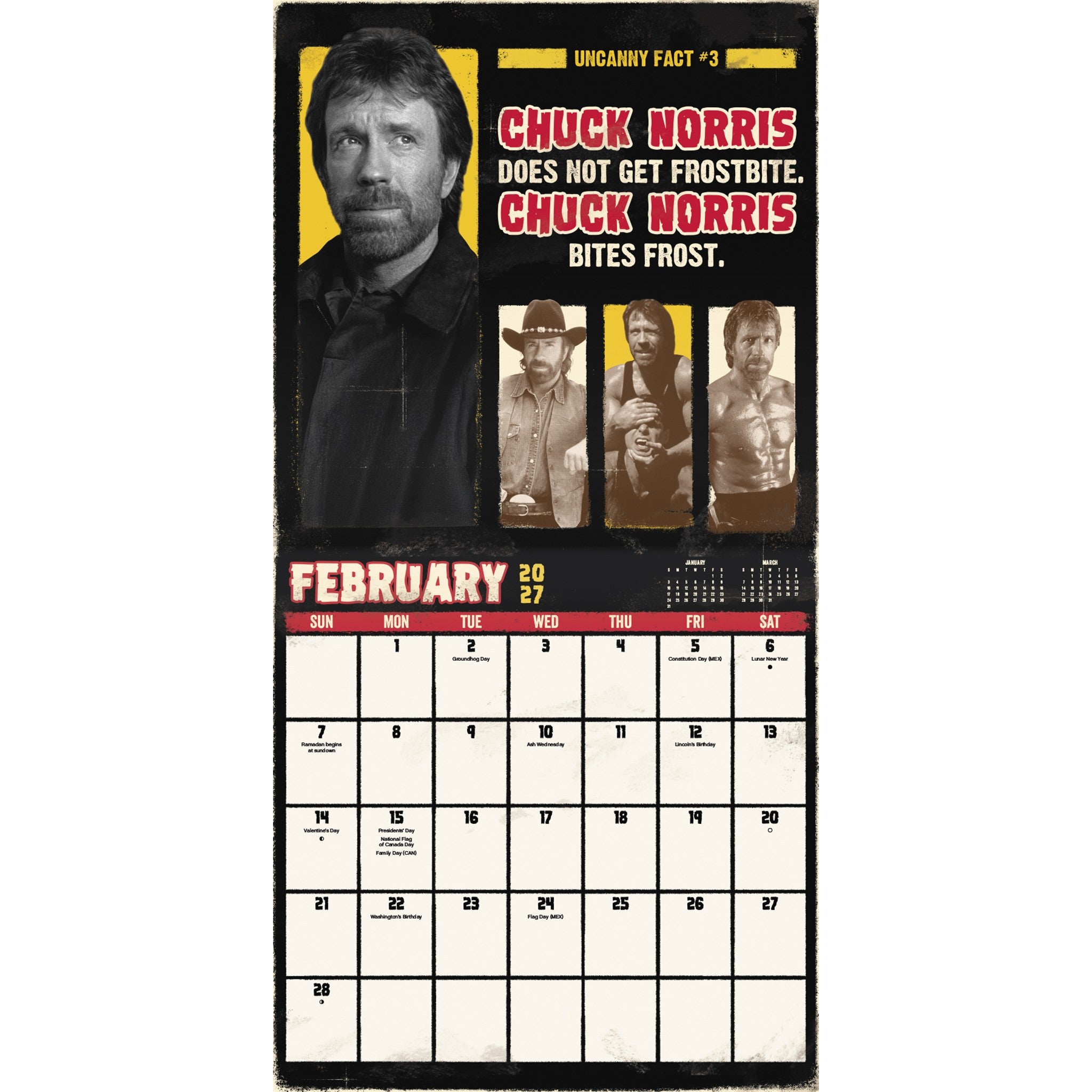Chuck Norris 2027 Wall Calendar