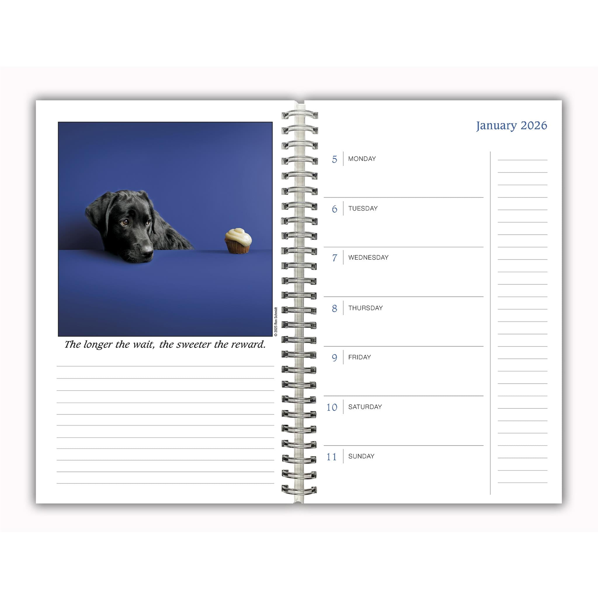 Dogma 2025-2026 Engagement Calendar