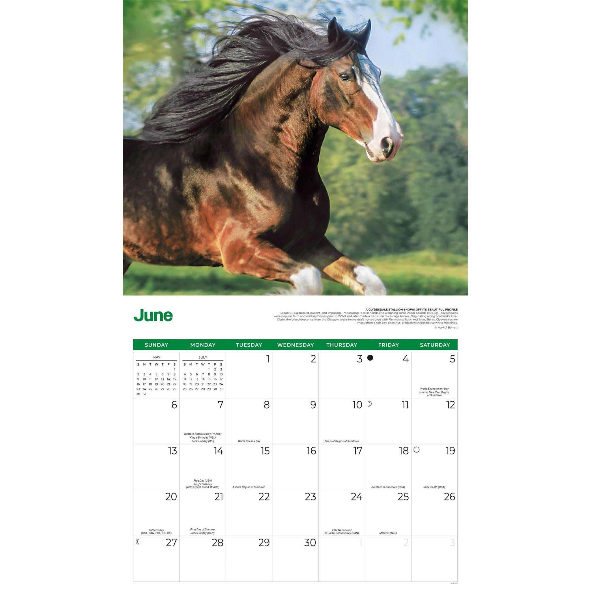 Horses 2027 Wall Calendar