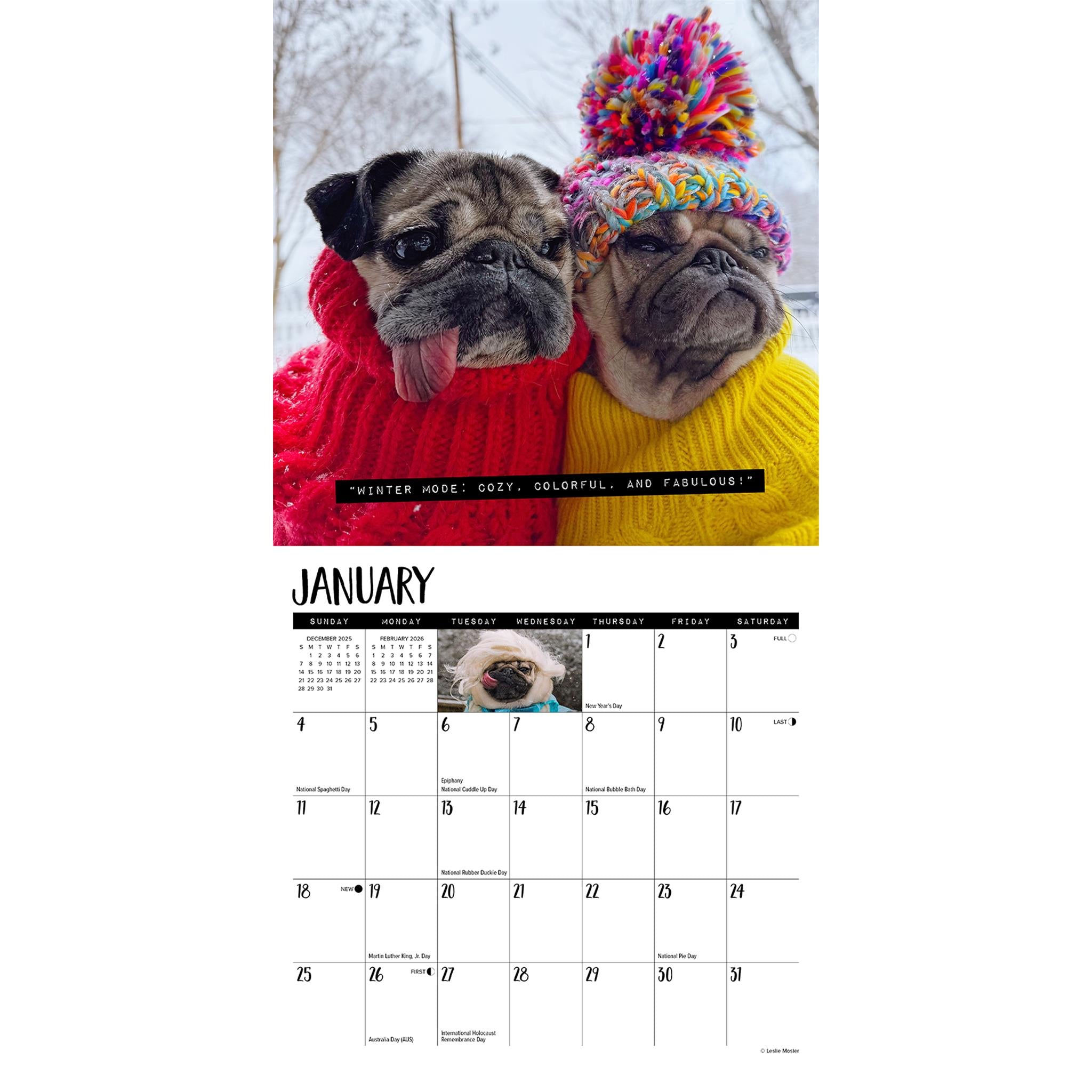 Doug The Pug 2026 Mini Calendar 6DA8833A 4E39 410A 9F69 