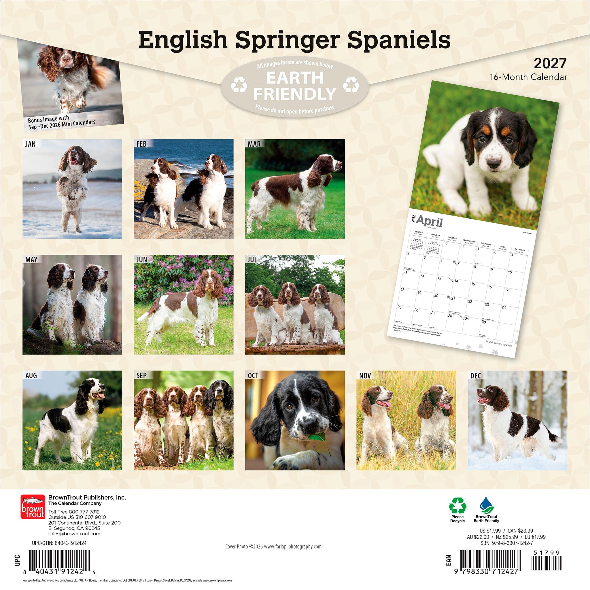 English Springer Spaniels 2027 Wall Calendar