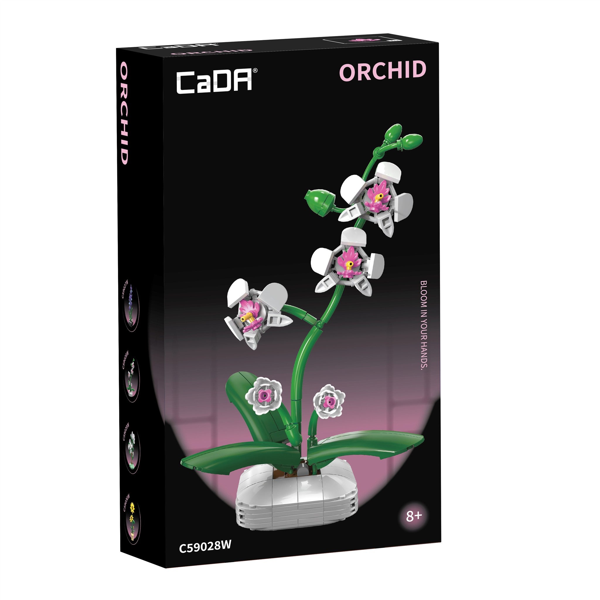 Orchid 237 Pieces