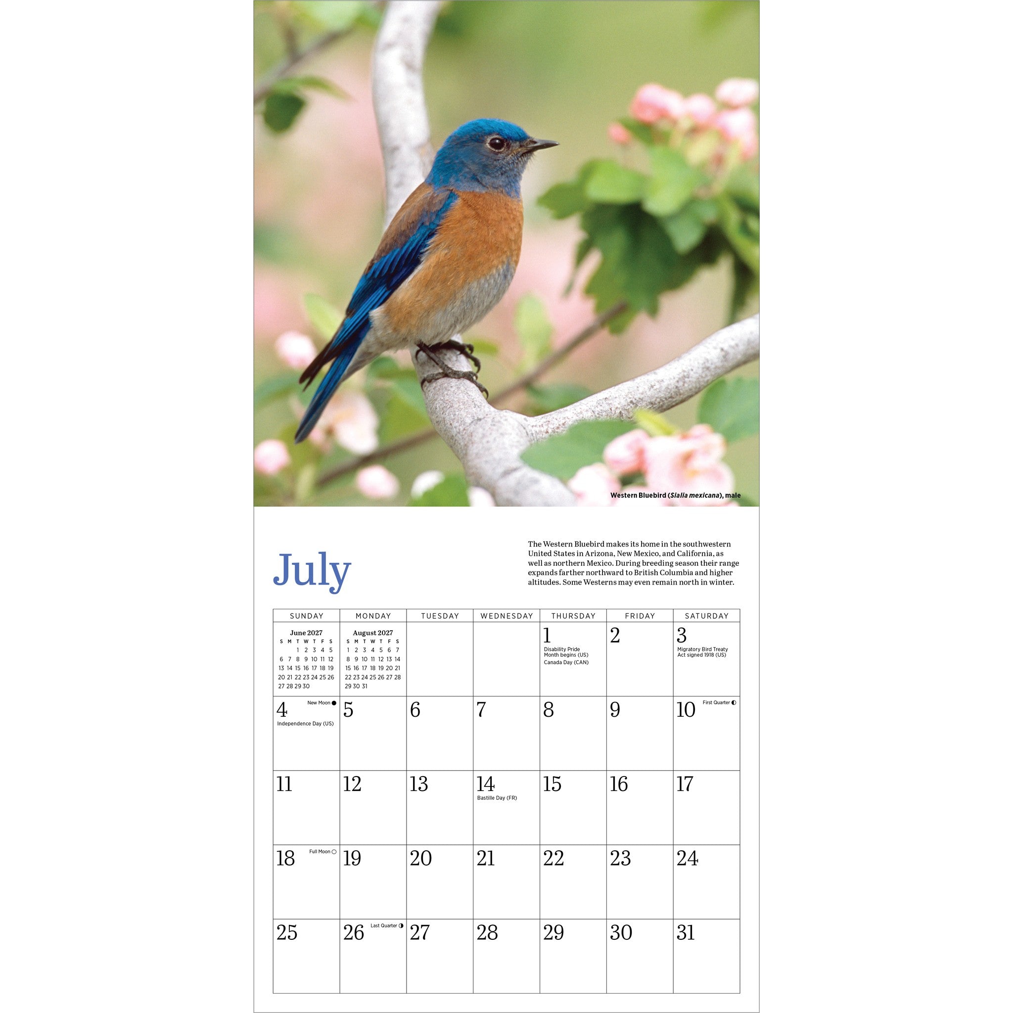 Audubon Bluebirds 2027 Mini Calendar - Online Only
