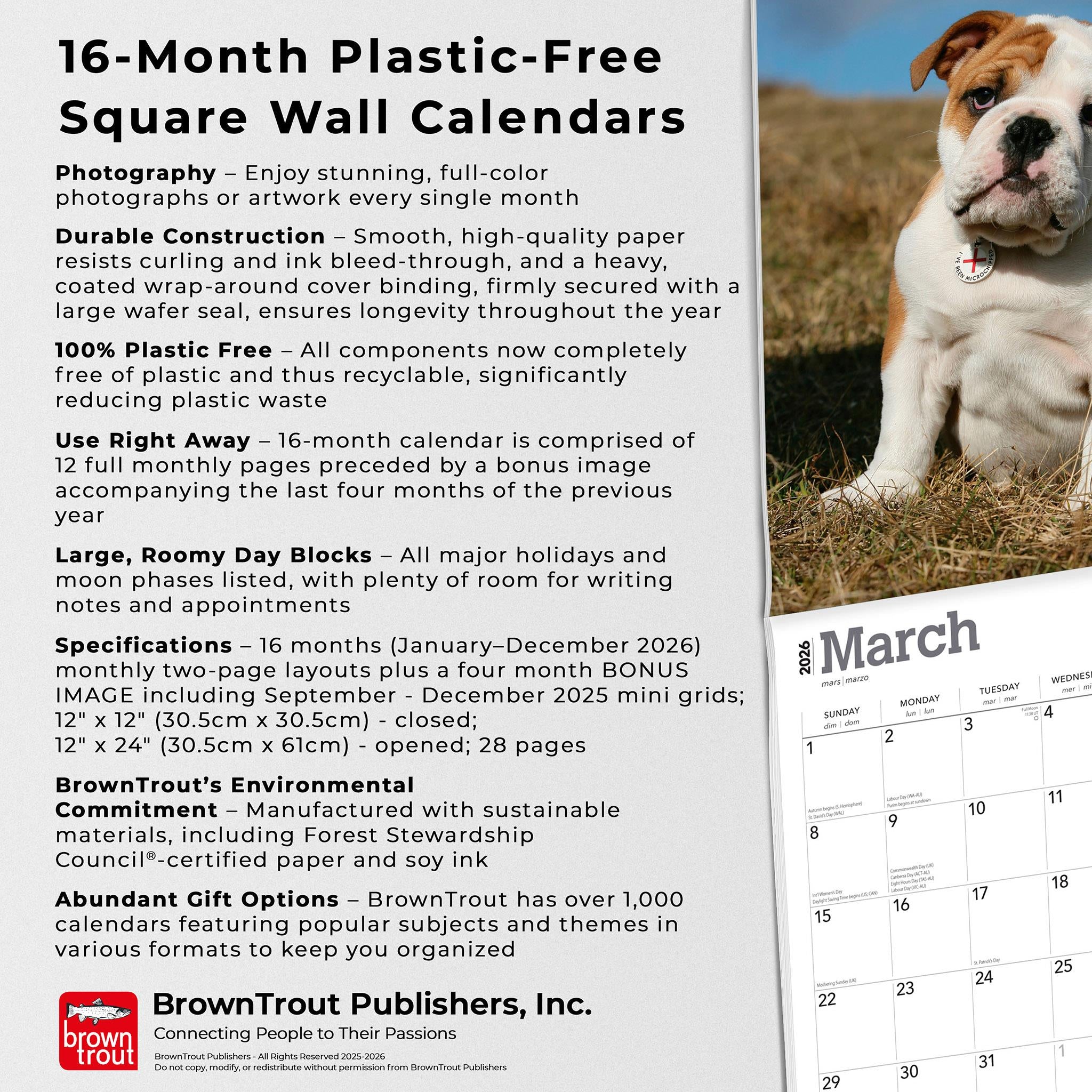 Bulldog Puppies 2026 Wall Calendar - Online Only