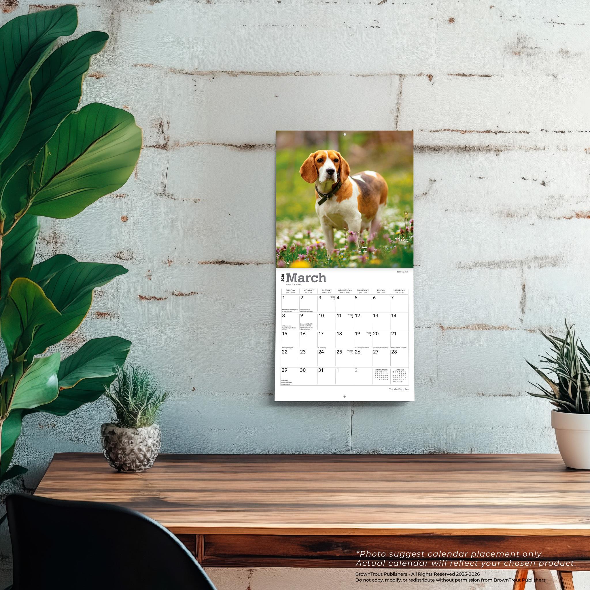 Beagles 2026 Mini Calendar